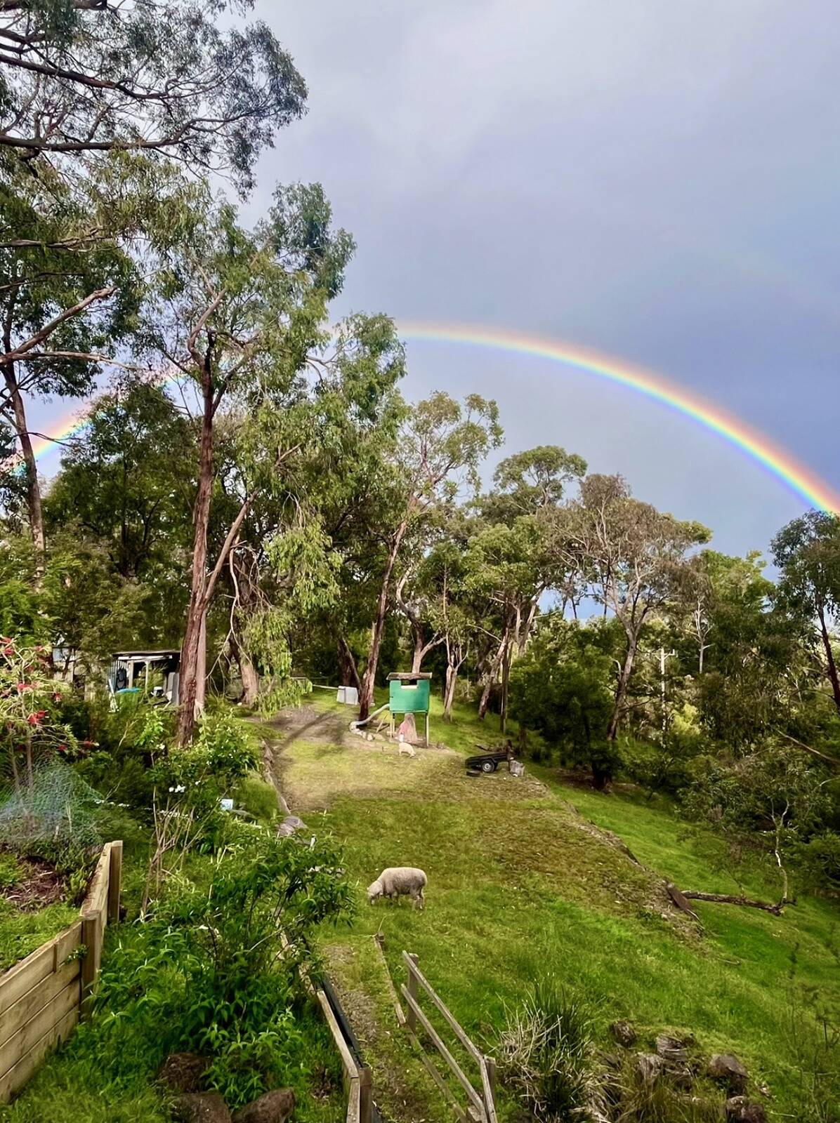 Ellie's Family Daycare Healesville