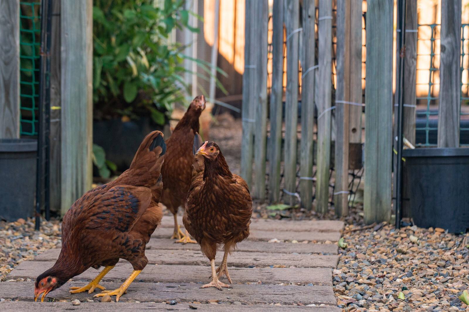Avenues Early Learning Centre - Parkinson