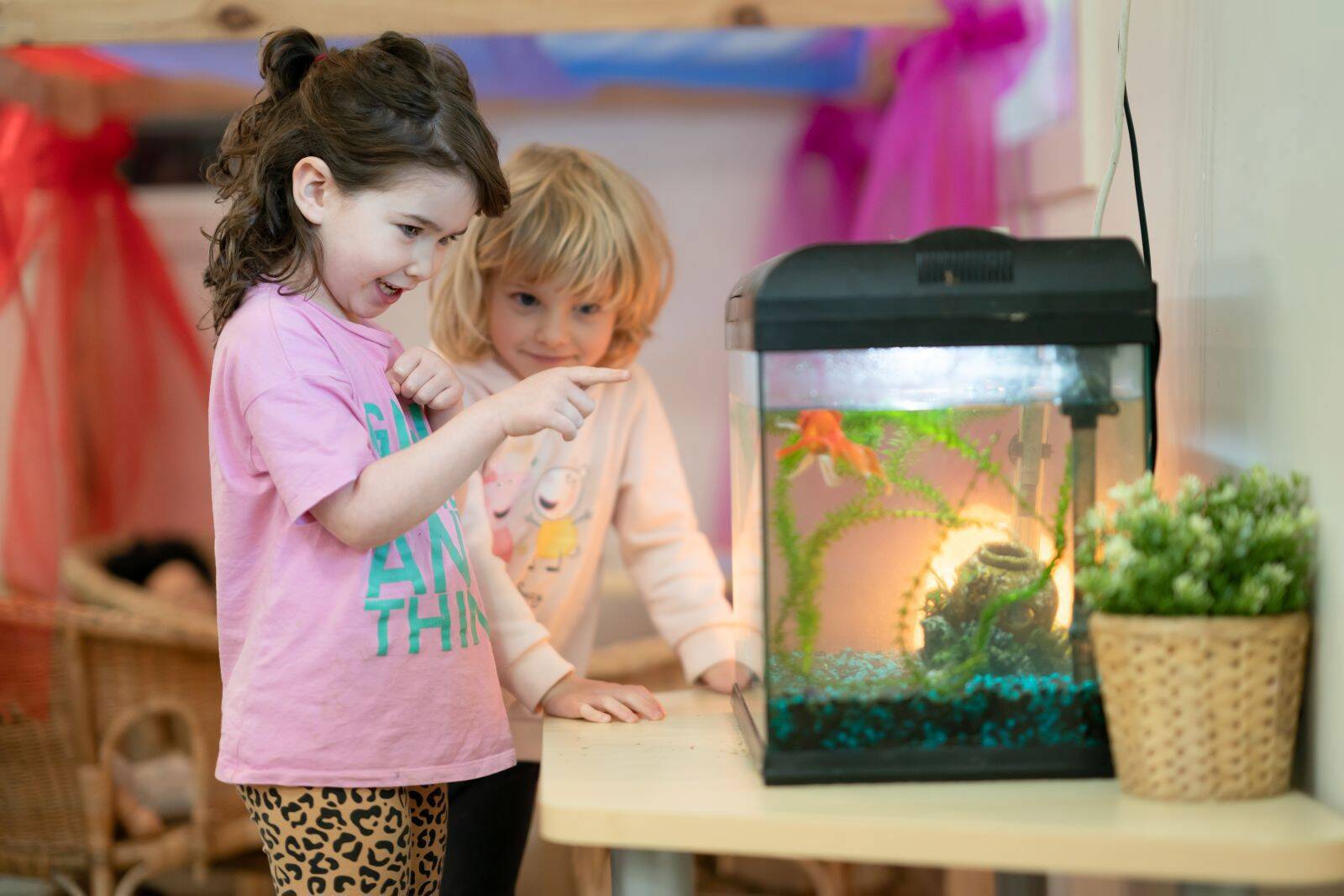 Edge Early Learning Tarragindi