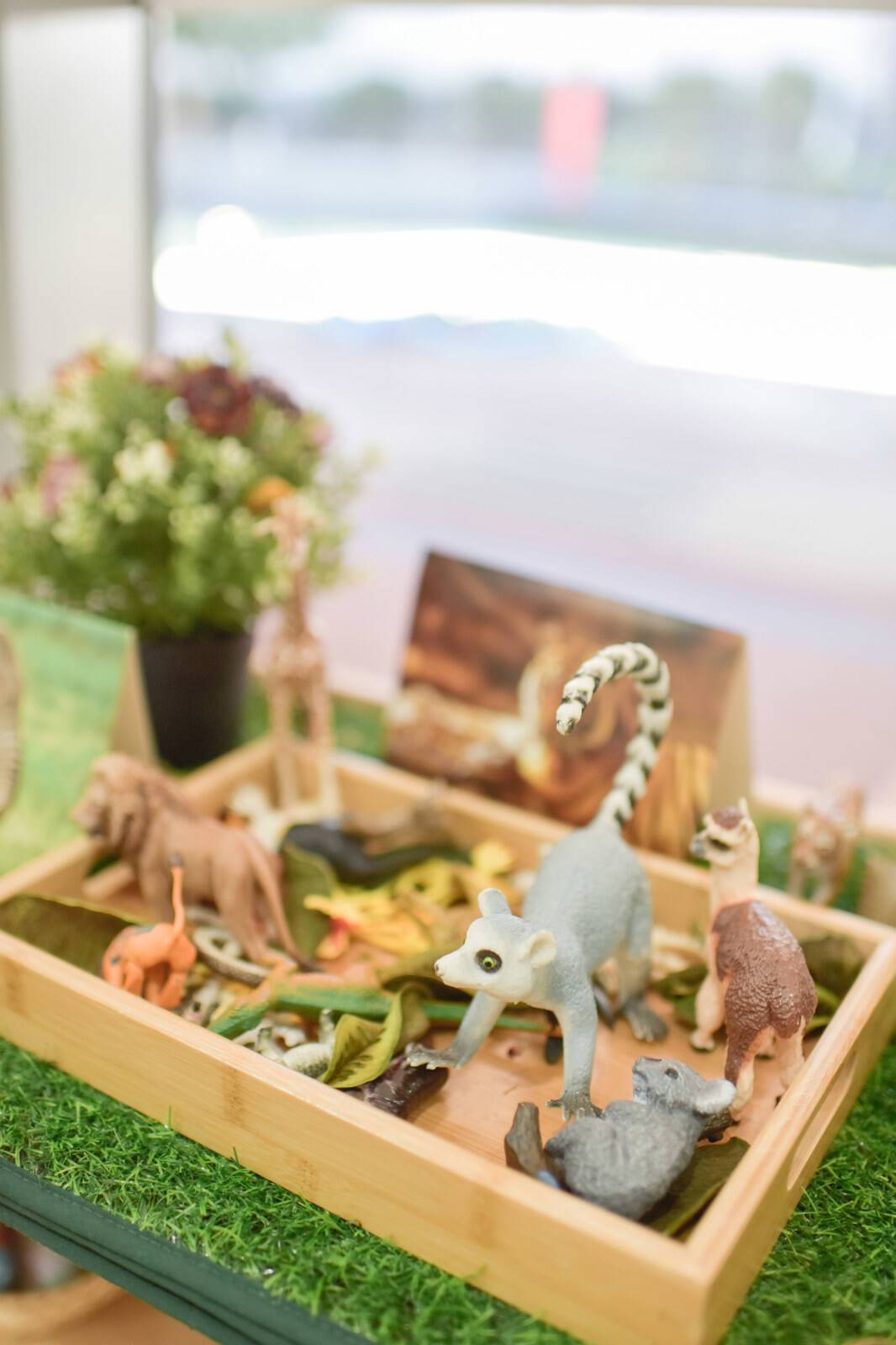 Little Steps Early Learning Centre - East Lindfield