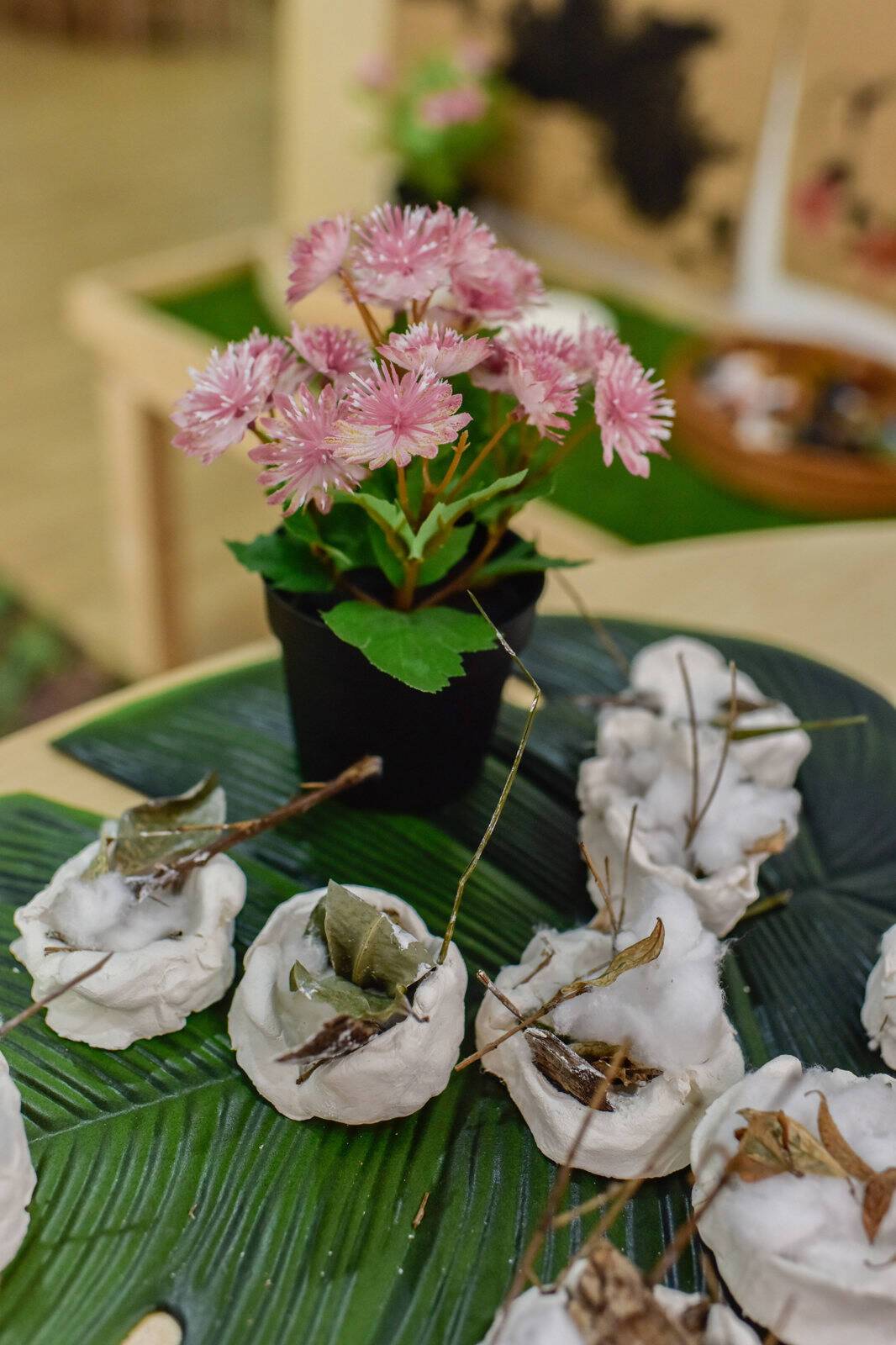 Little Steps Early Learning Centre - East Lindfield