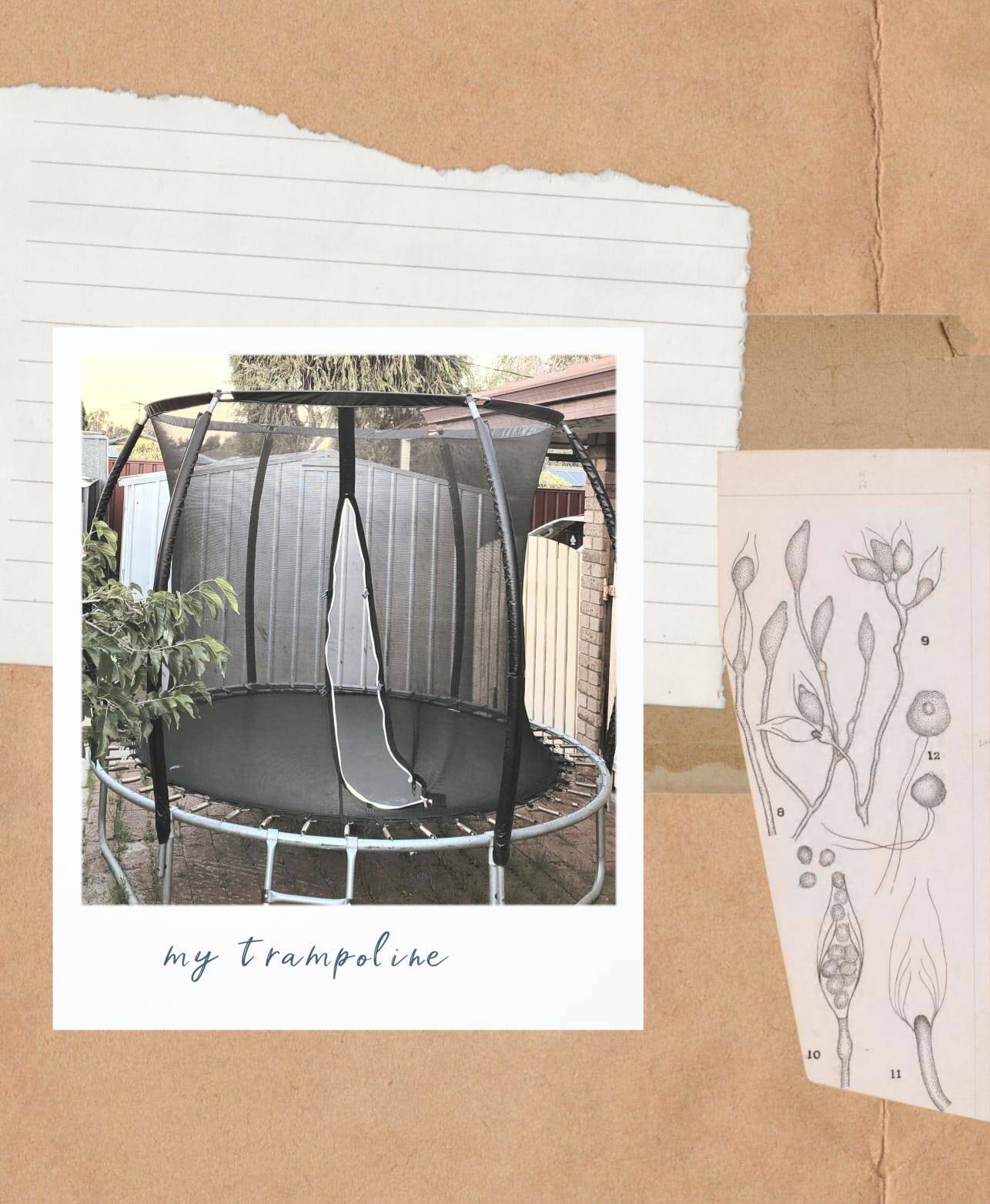 Sproutlingfamilydaycare