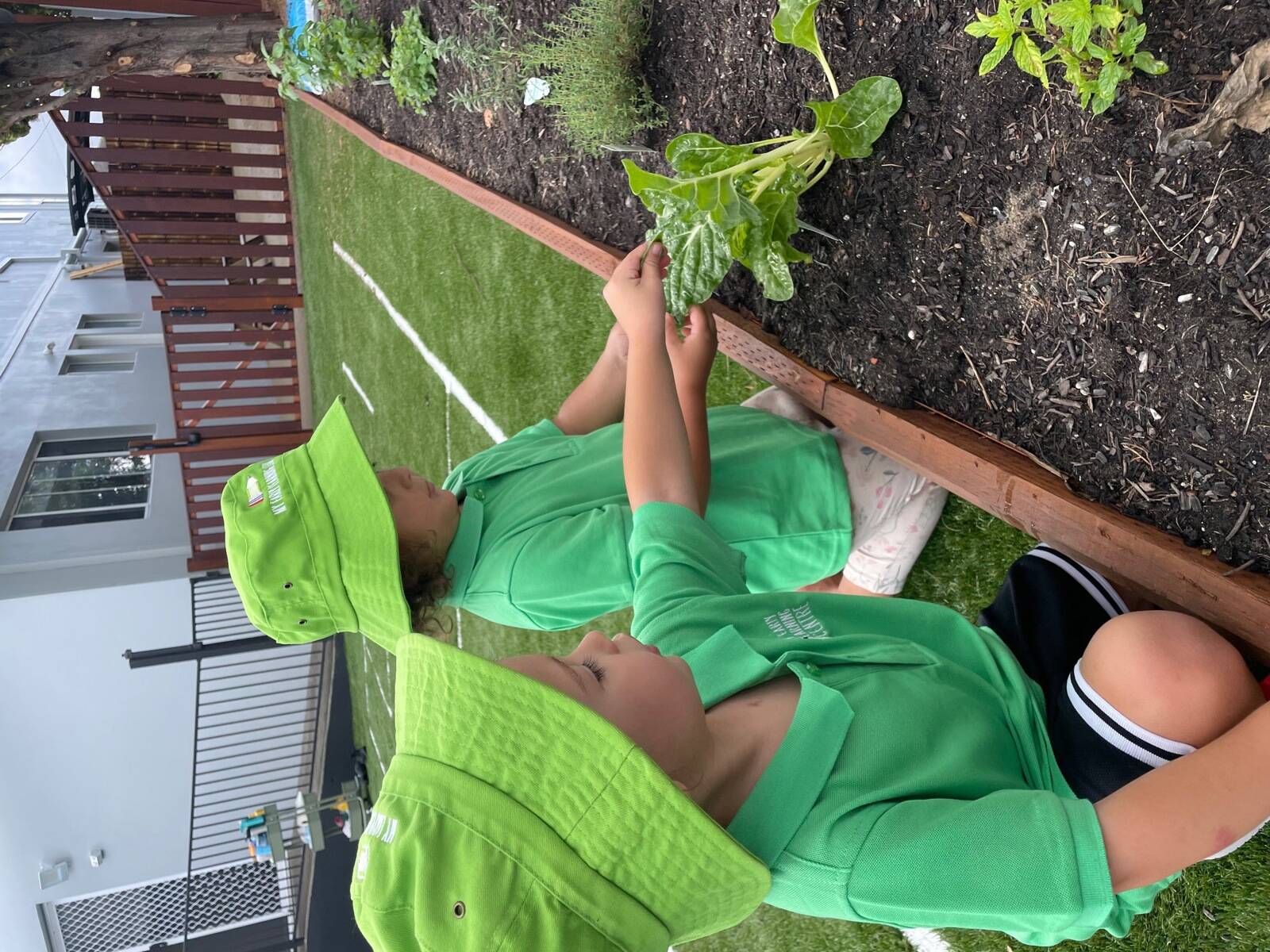 My Early Learning Centre - Clemton Park