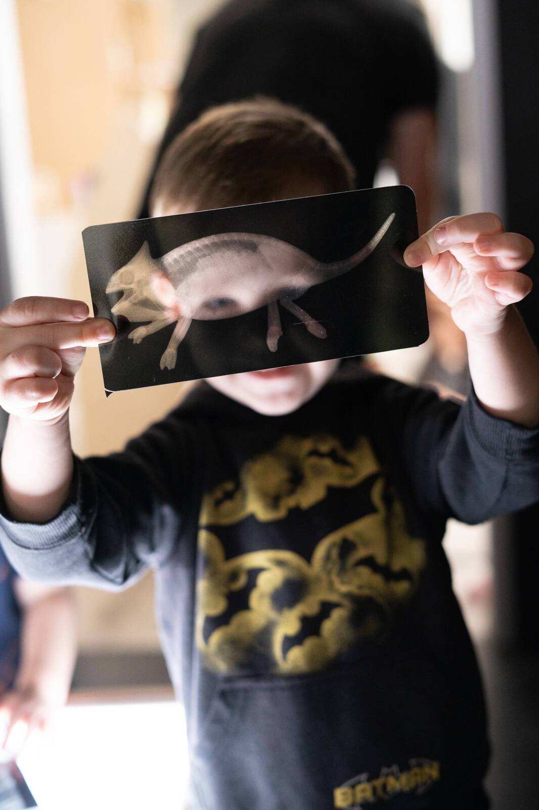 Sorella Early Learning