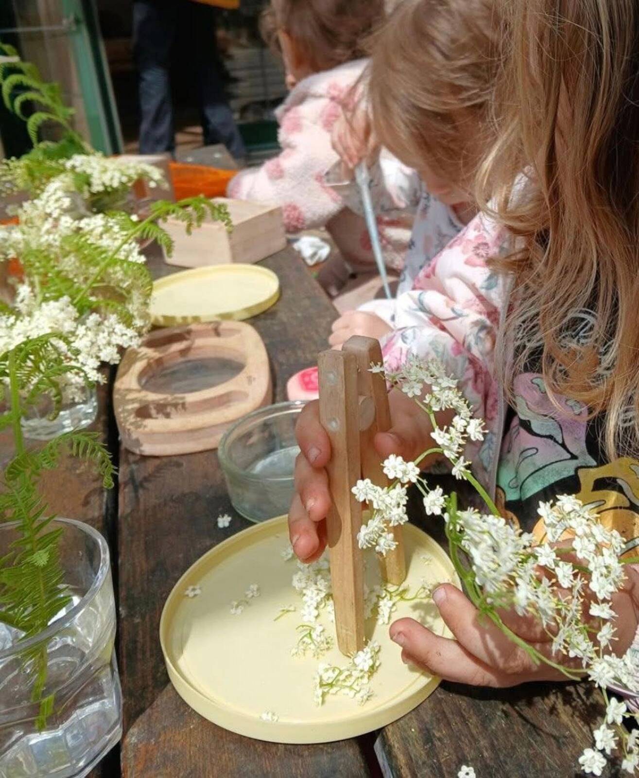 Lilly~Pillies Montessori FDC