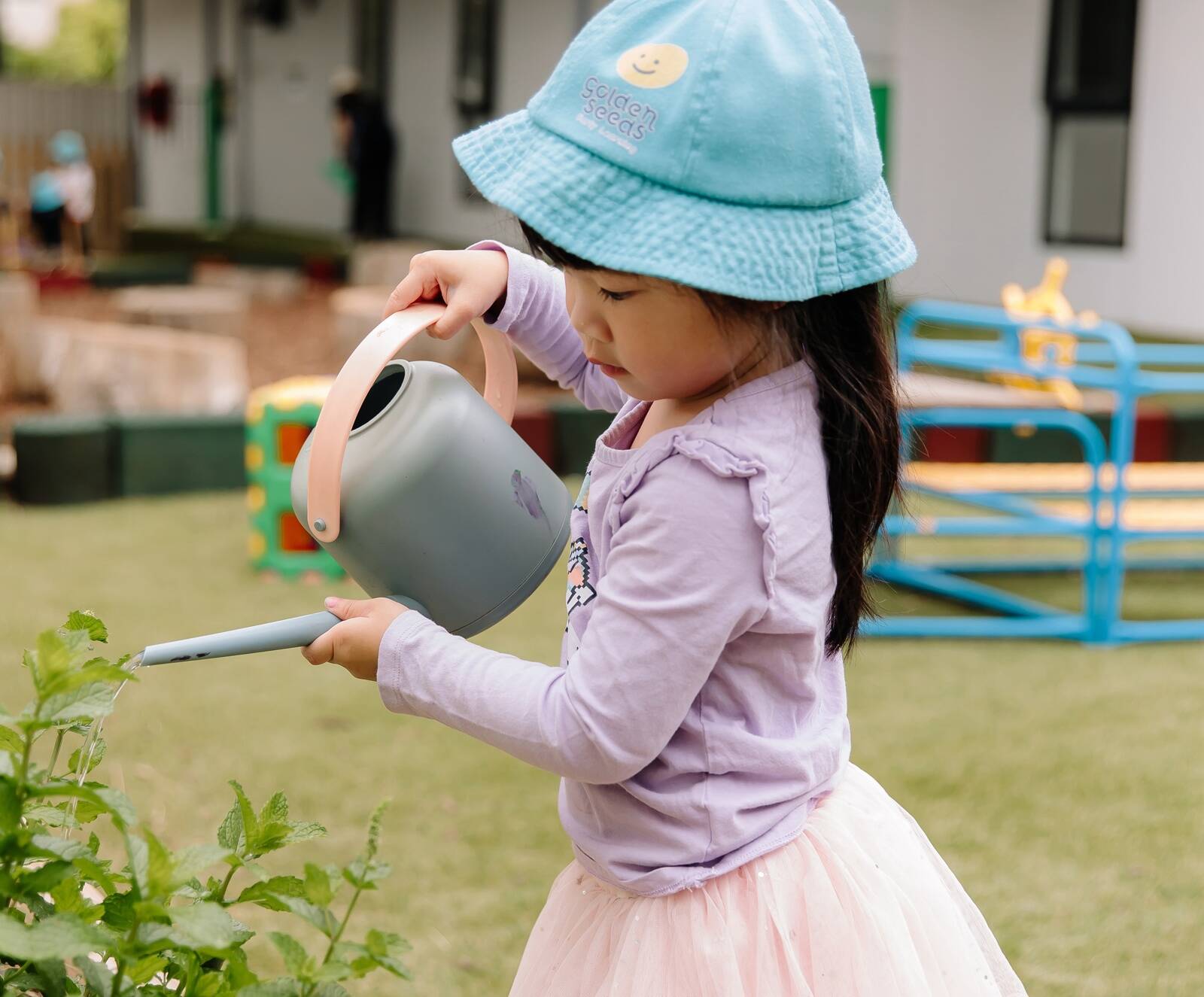 Golden Seeds Early Learning Carlingford