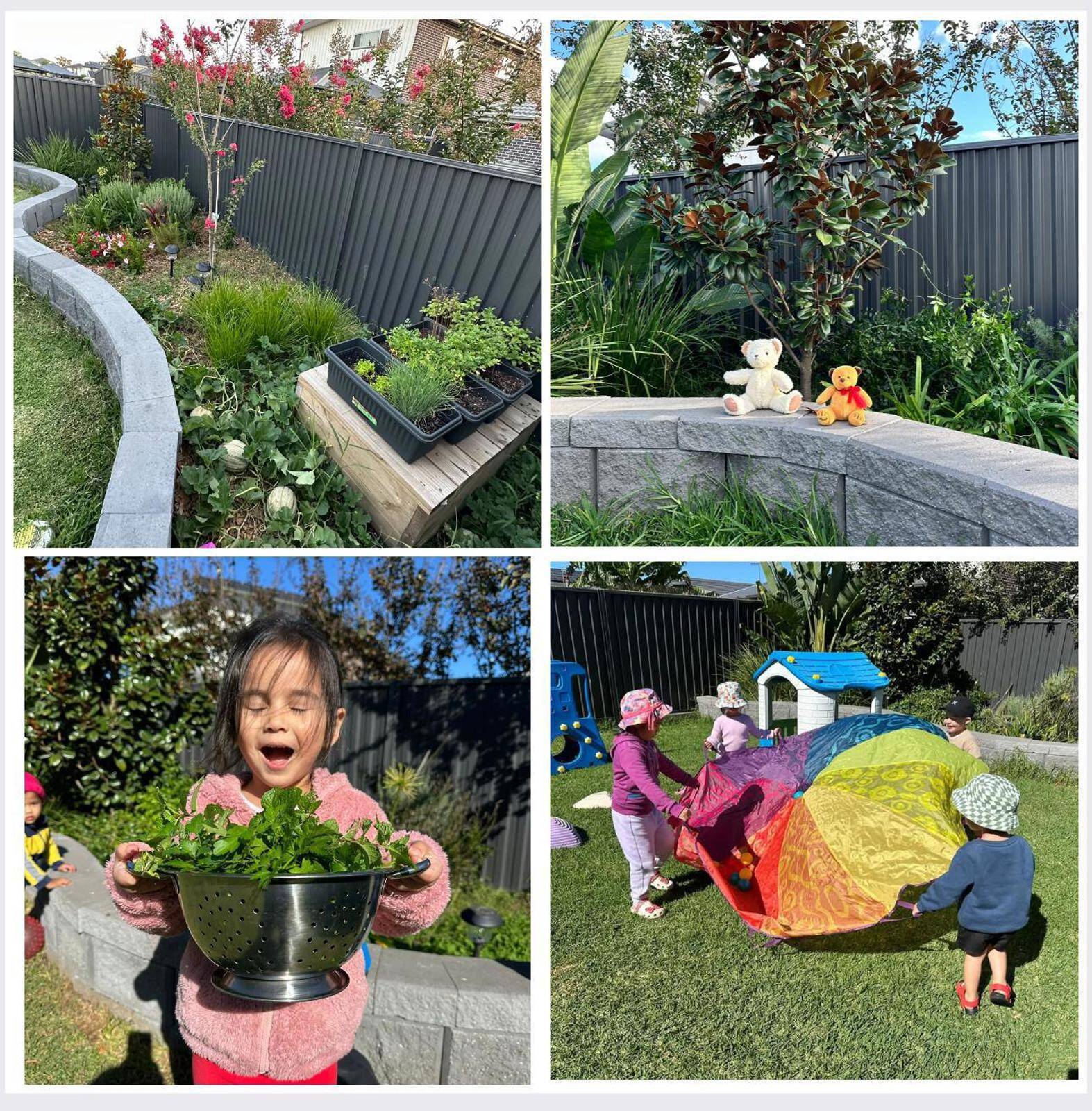 Penguins Family Daycare