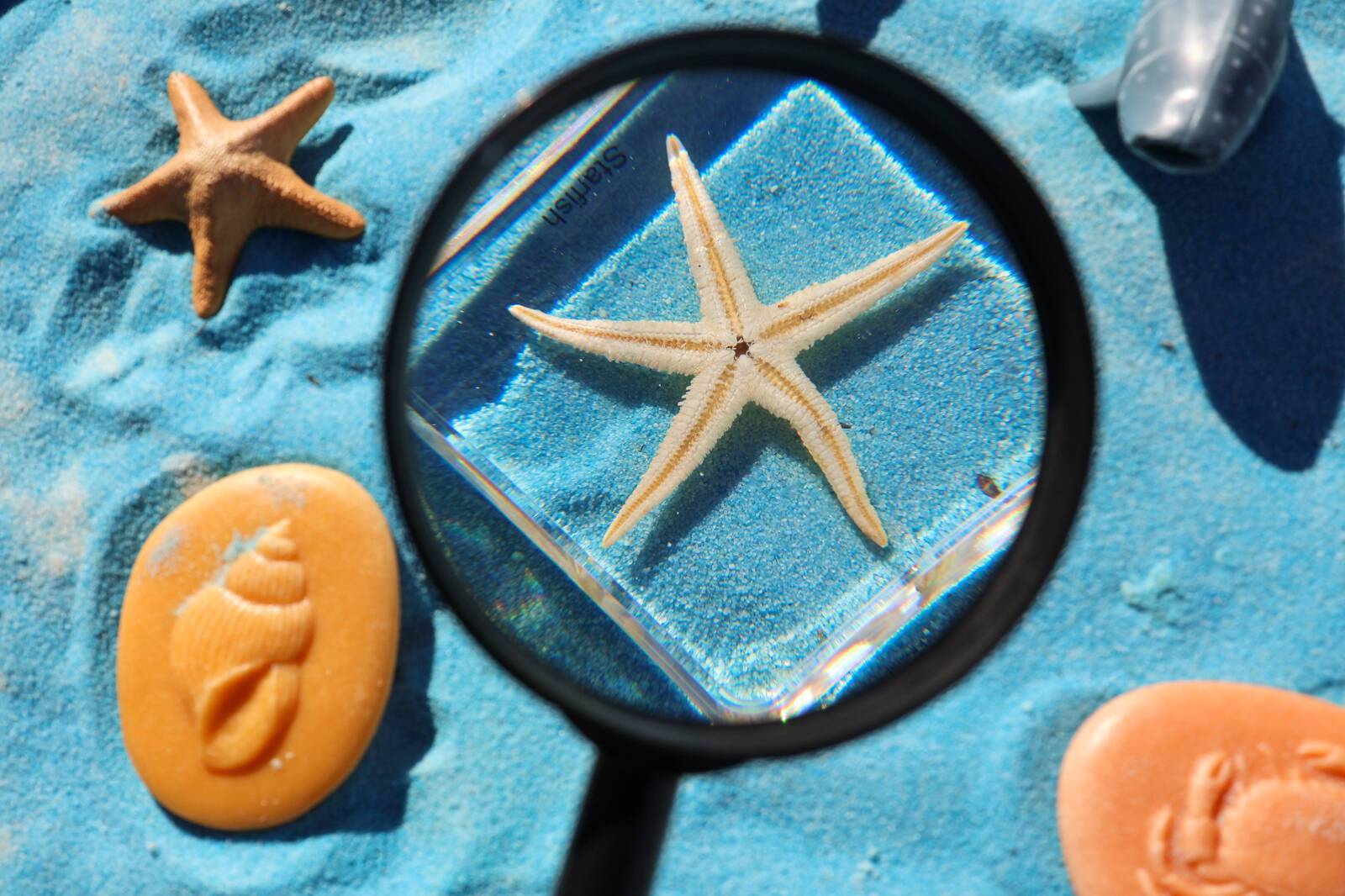 Buttercups Childcare and Early Learning Centre - Byford