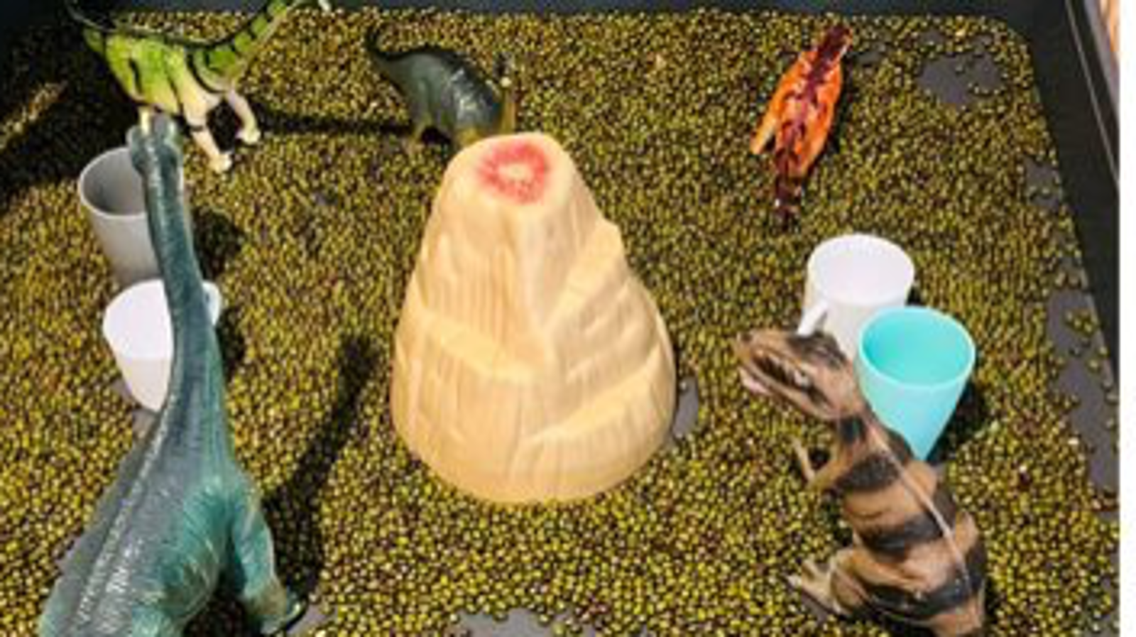 RY mini champs play house