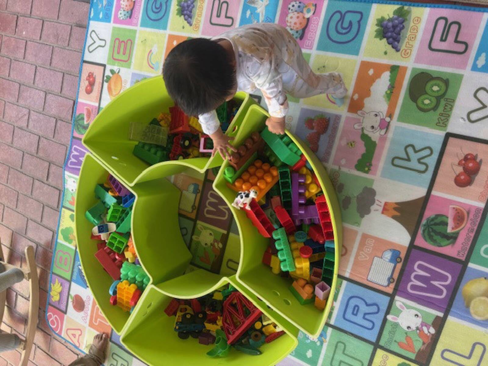 Sraboni's Little Sprouts Family Day Care