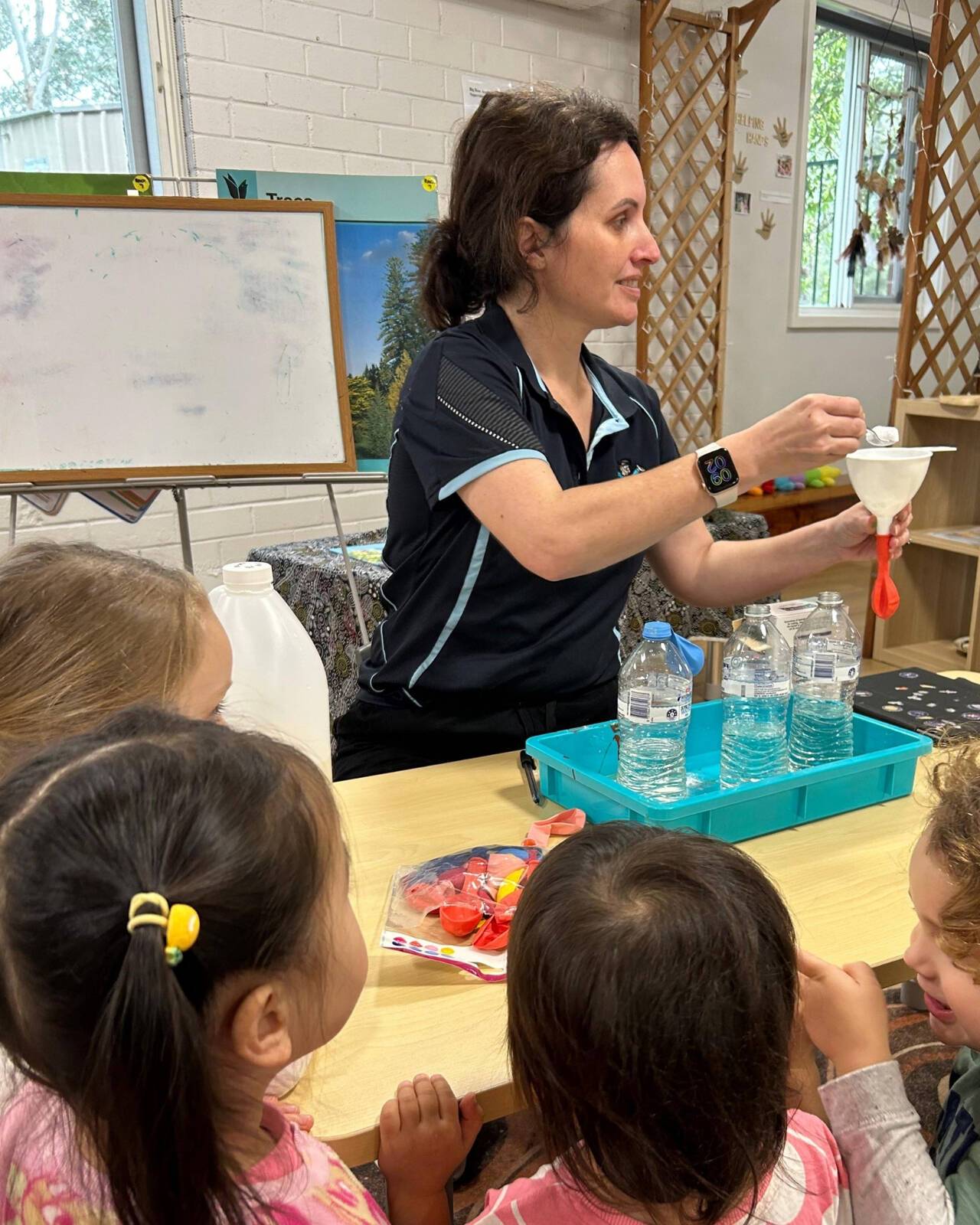 Big Bear Academy North Rocks