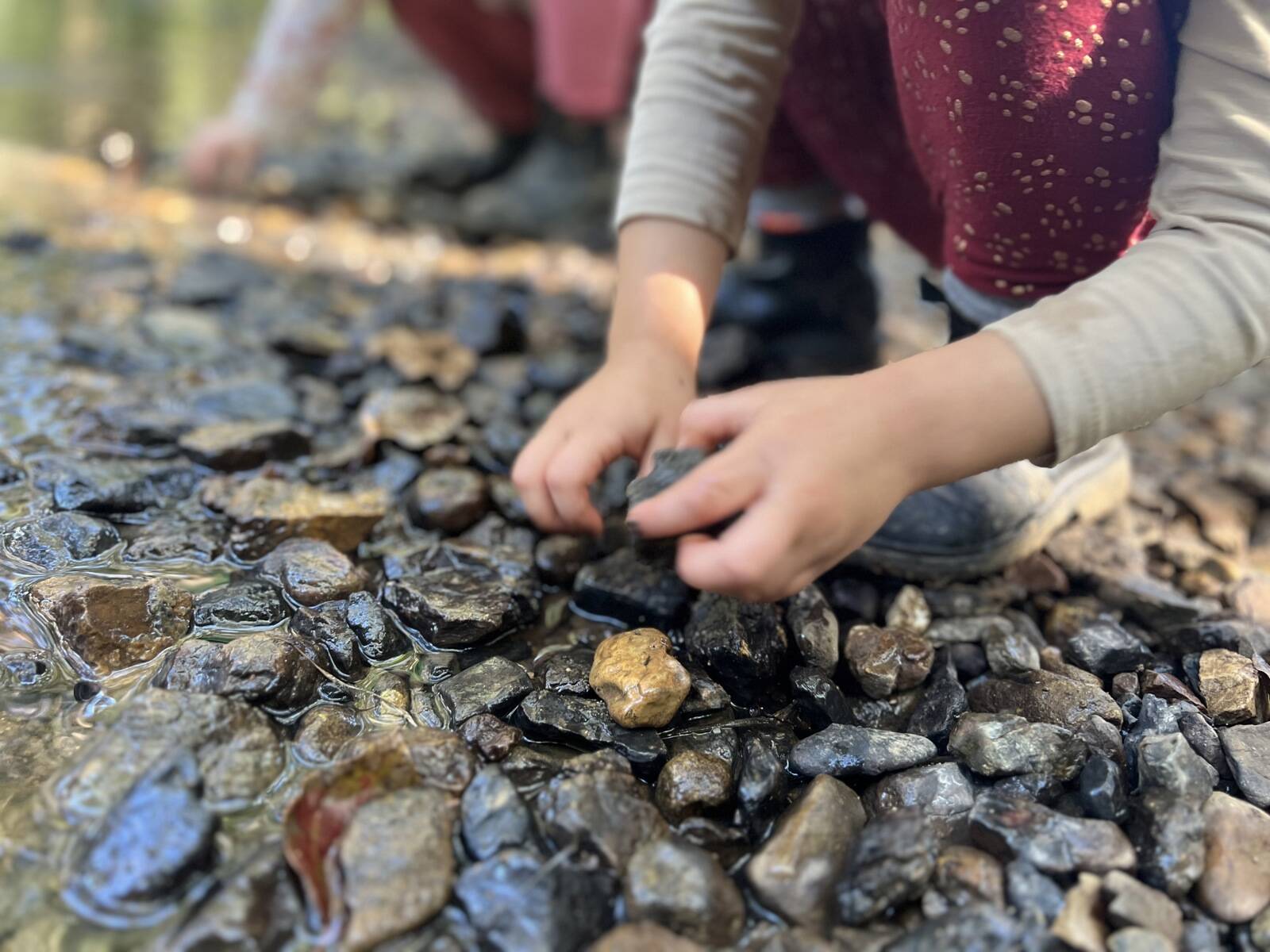 Joey's Pouch Early Years Educational and Preschool Centre Inc