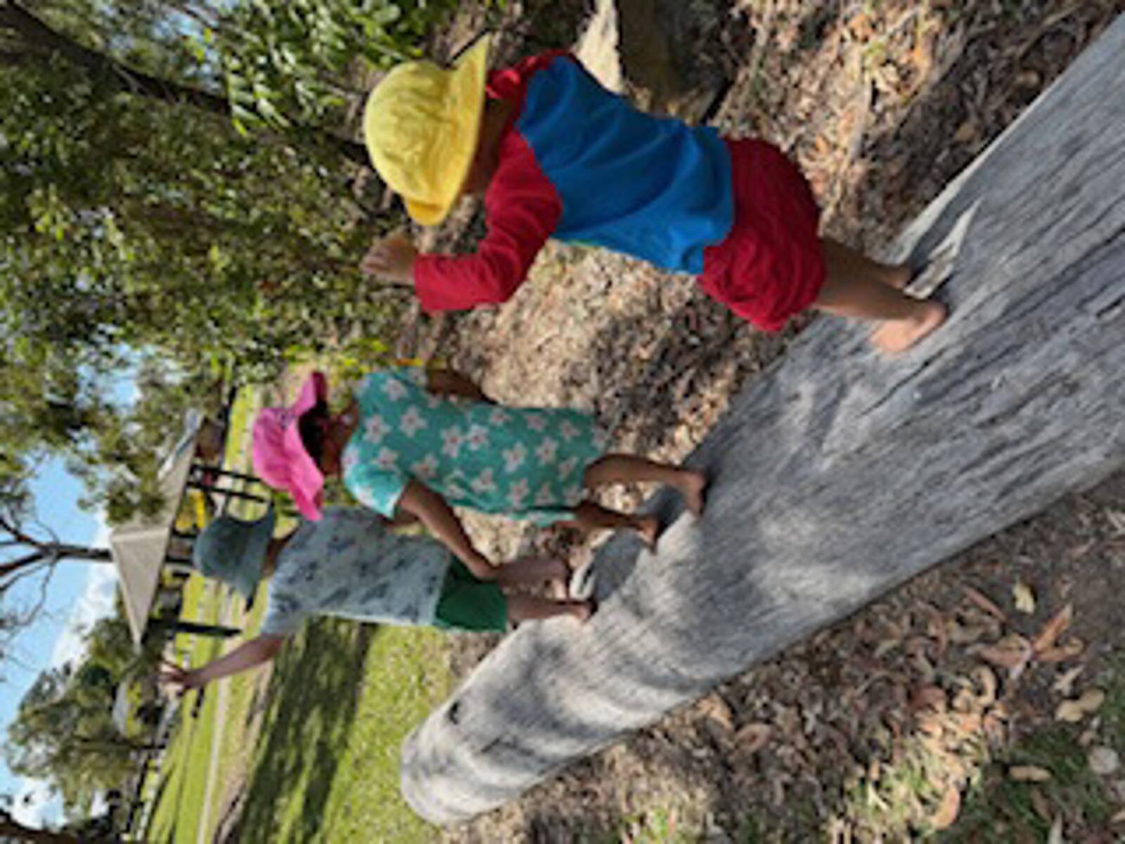 Lou Lou's Family Daycare