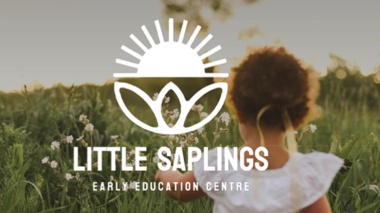 Little Saplings