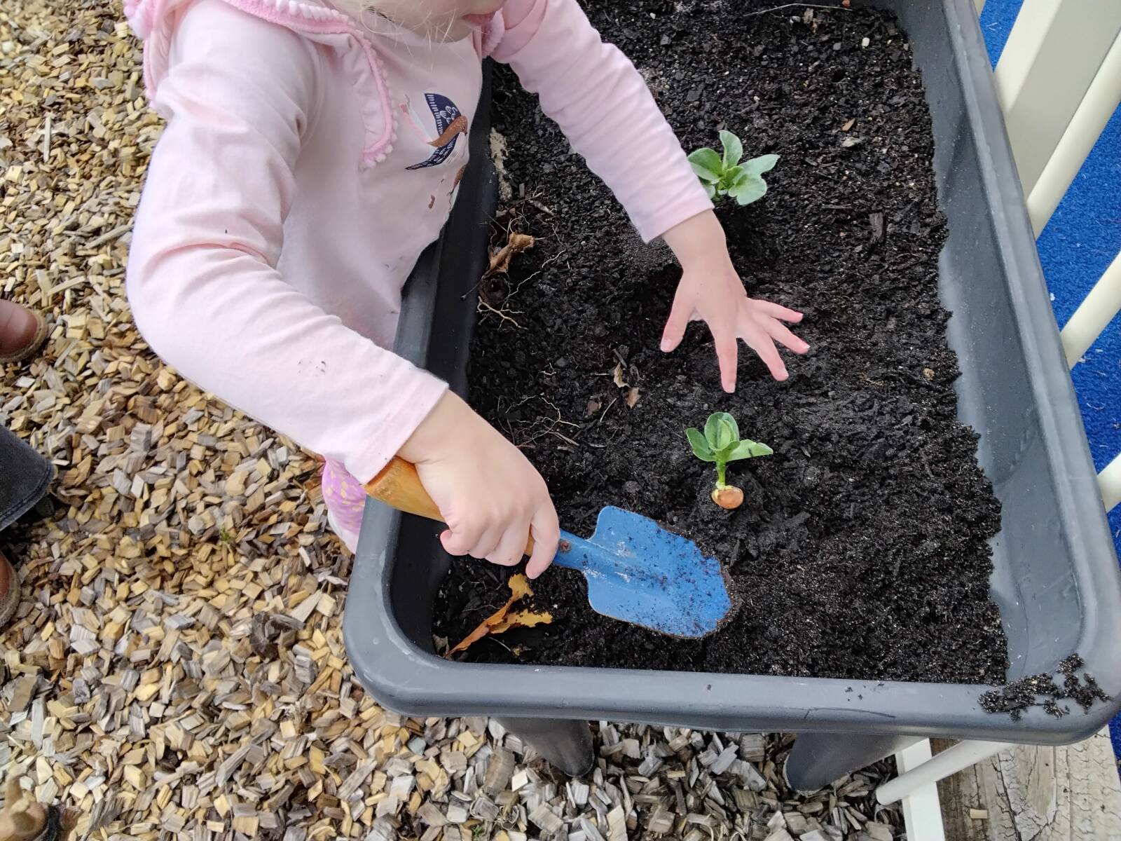 Coastal Montessori Early Learning Centre