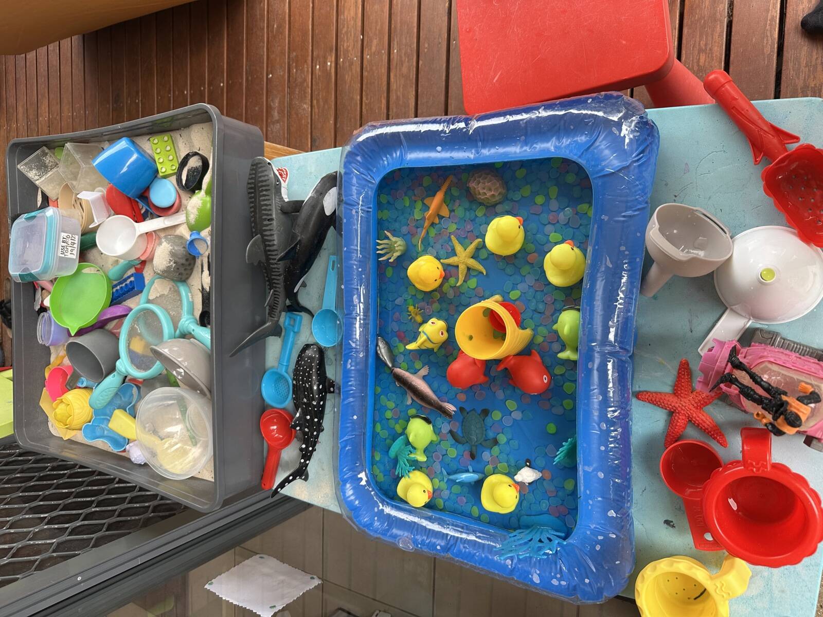 Lyn's Family Daycare