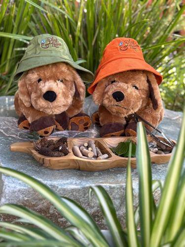 Victoria Park Play & Learn