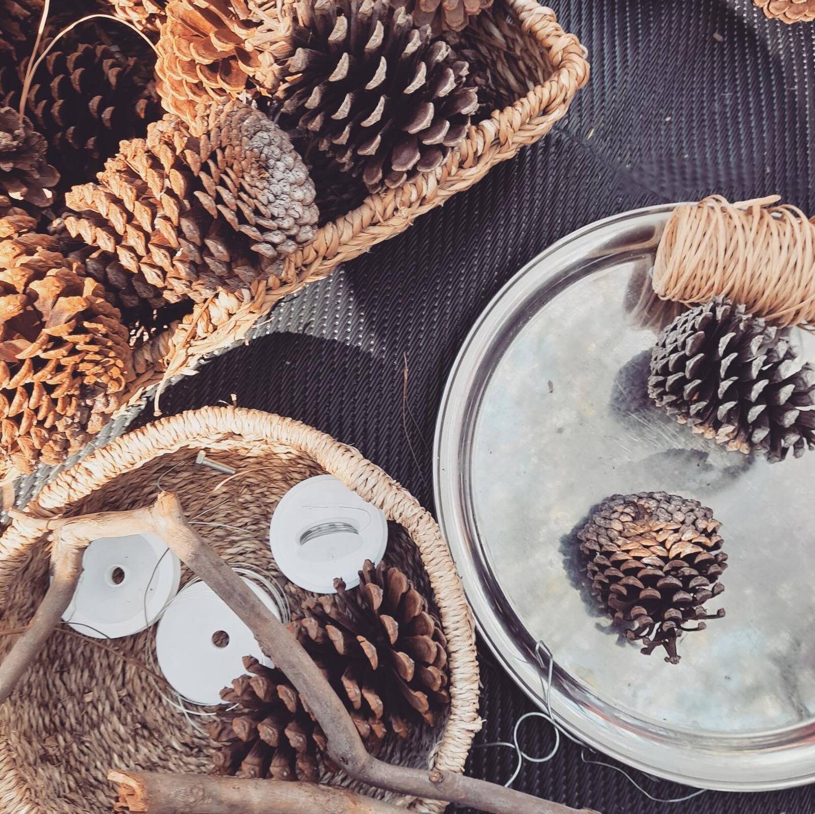 The Learning Terrace Child Care Centre and Preschool