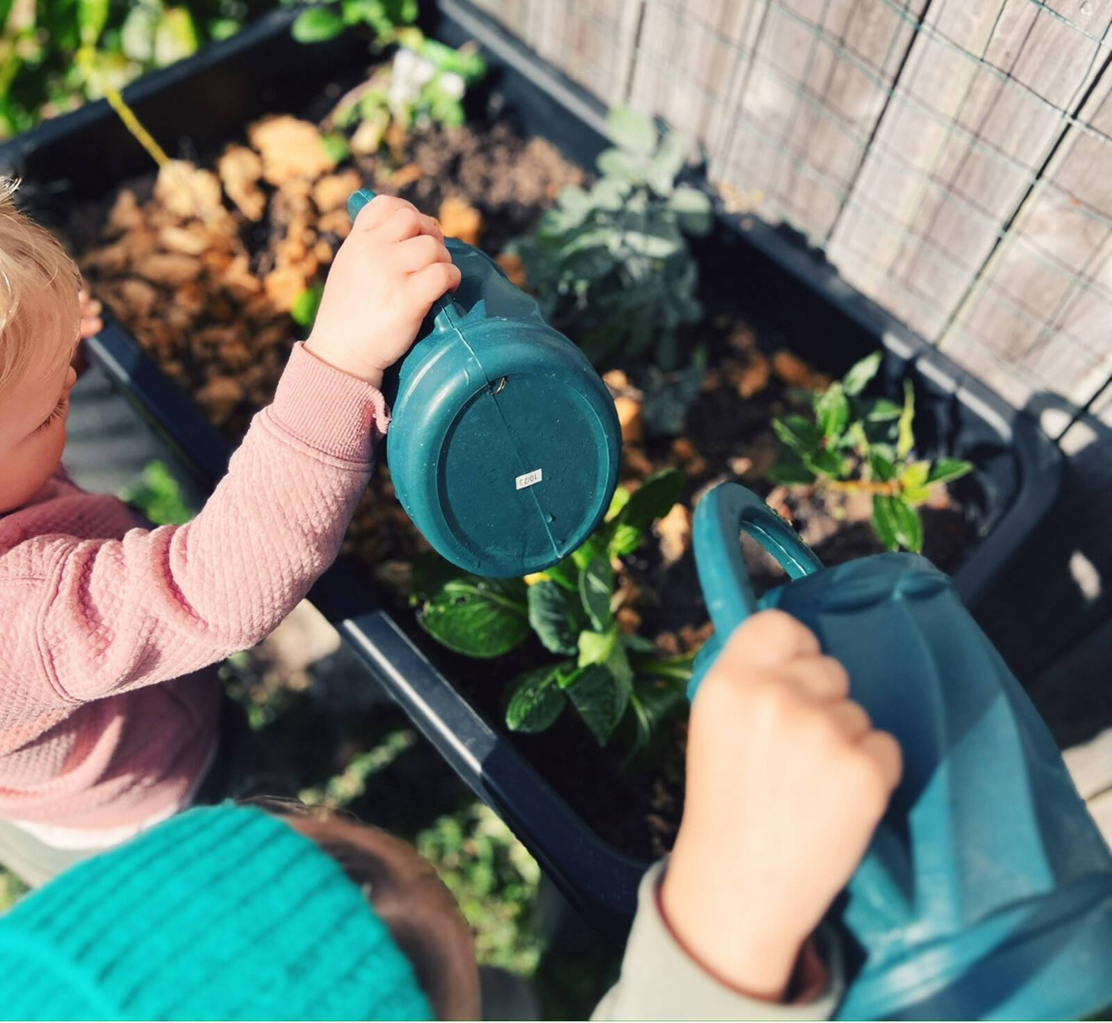 Nurture Nook Family Daycare