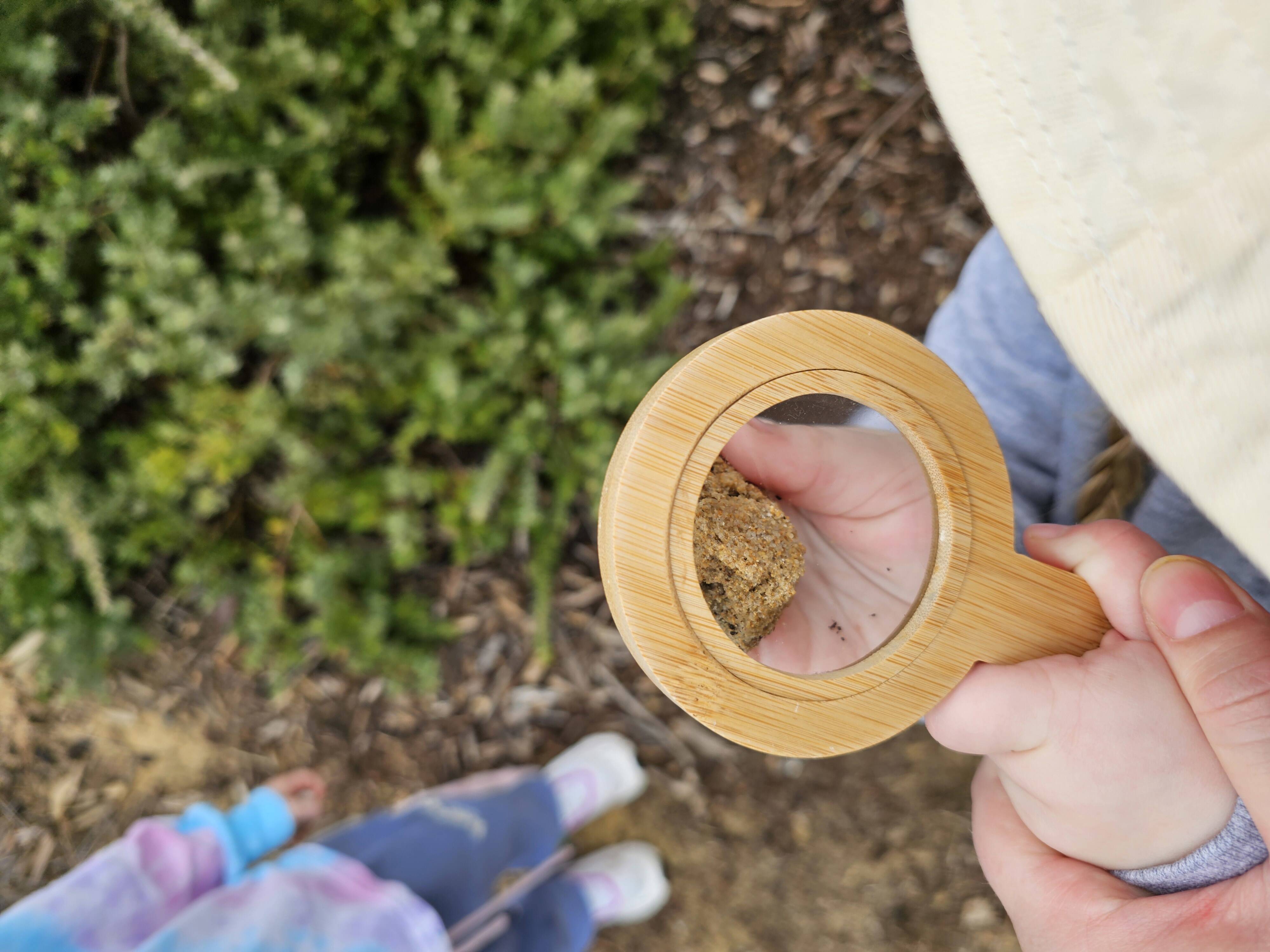 Down the Lane Family Day Care