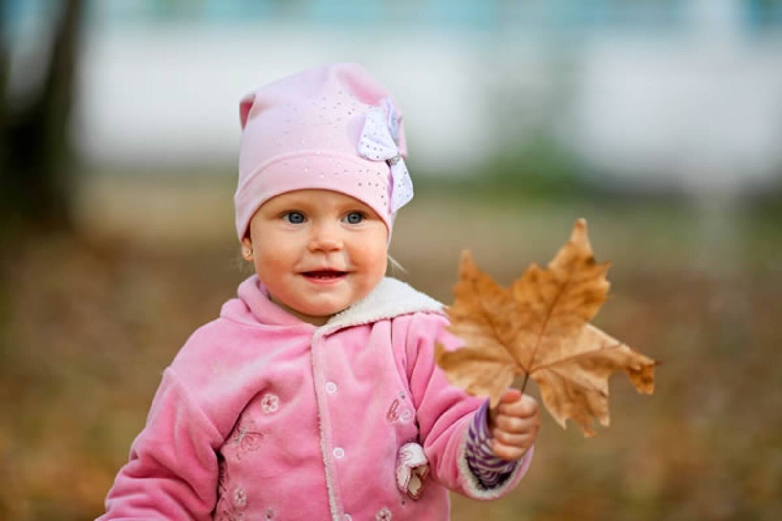 Leura Child Care Centre