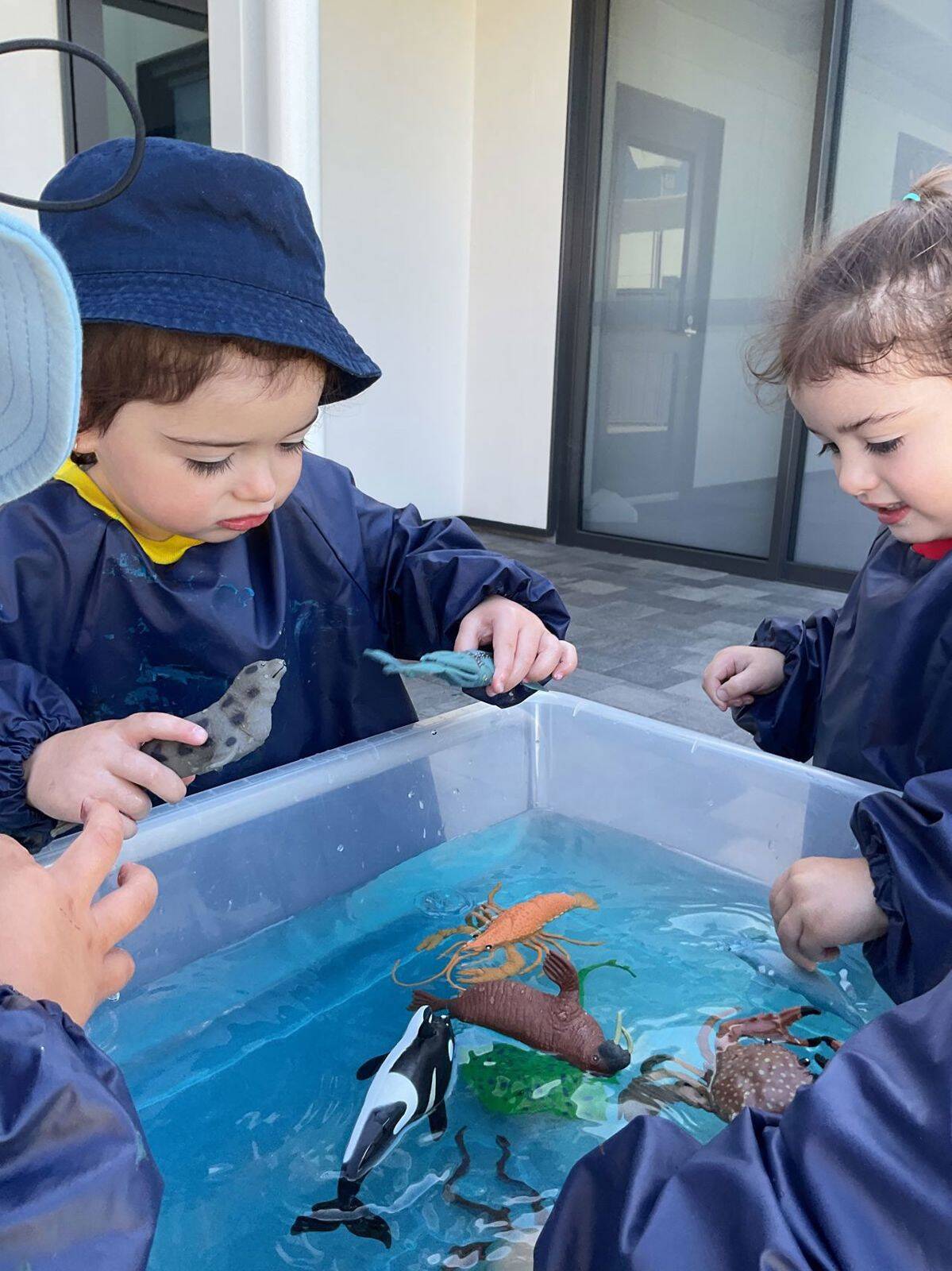 Wildberries Early Learning