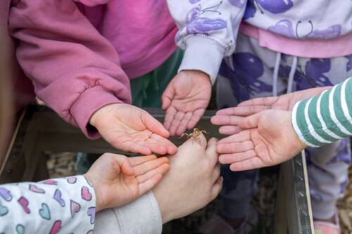 Gowrie Victoria Broadmeadows Valley