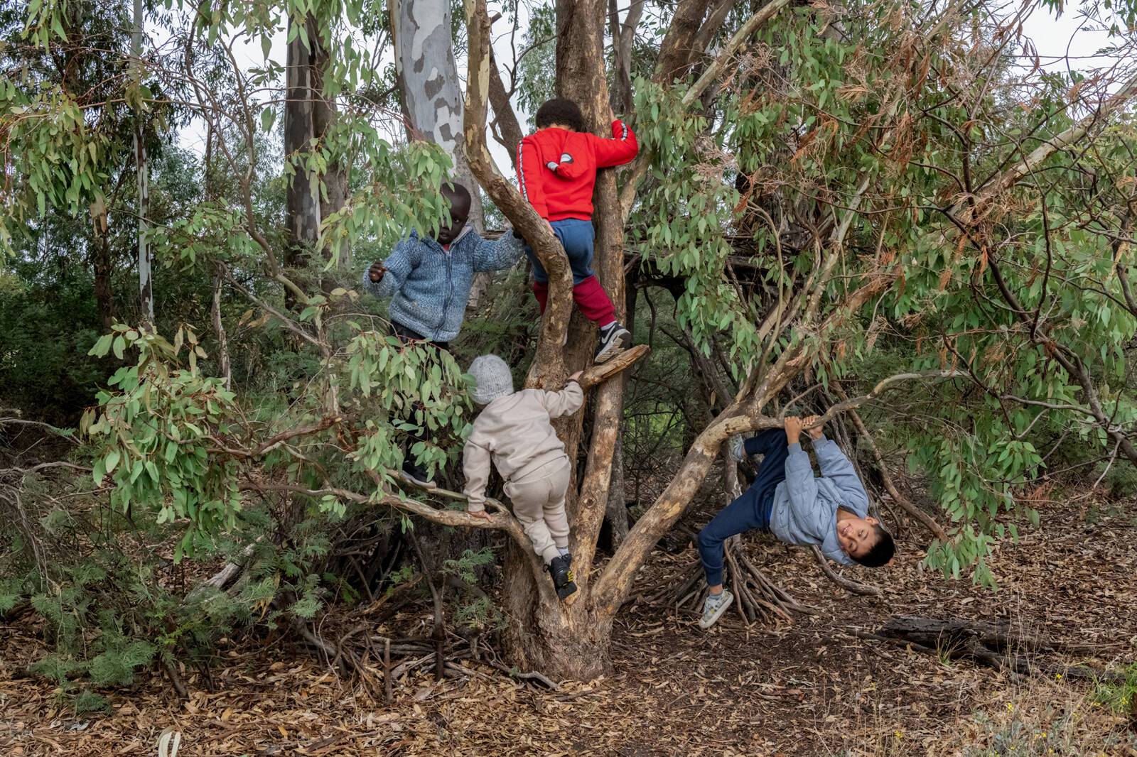 Gowrie Victoria Broadmeadows Valley