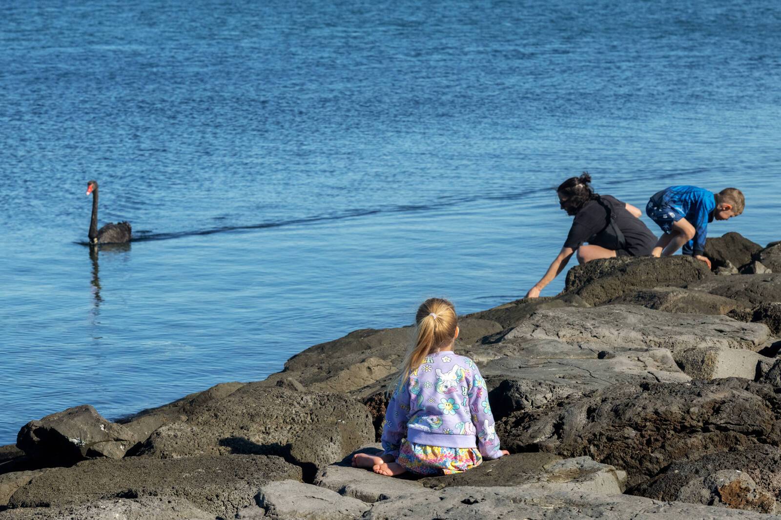 Gowrie Victoria Clare Court