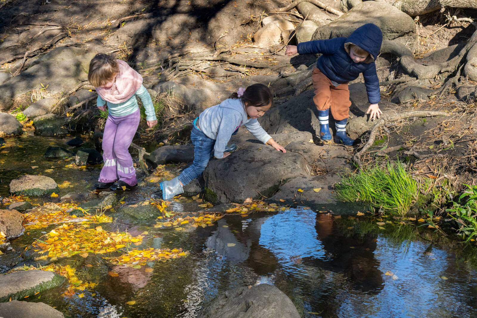 Gowrie Victoria Clare Court