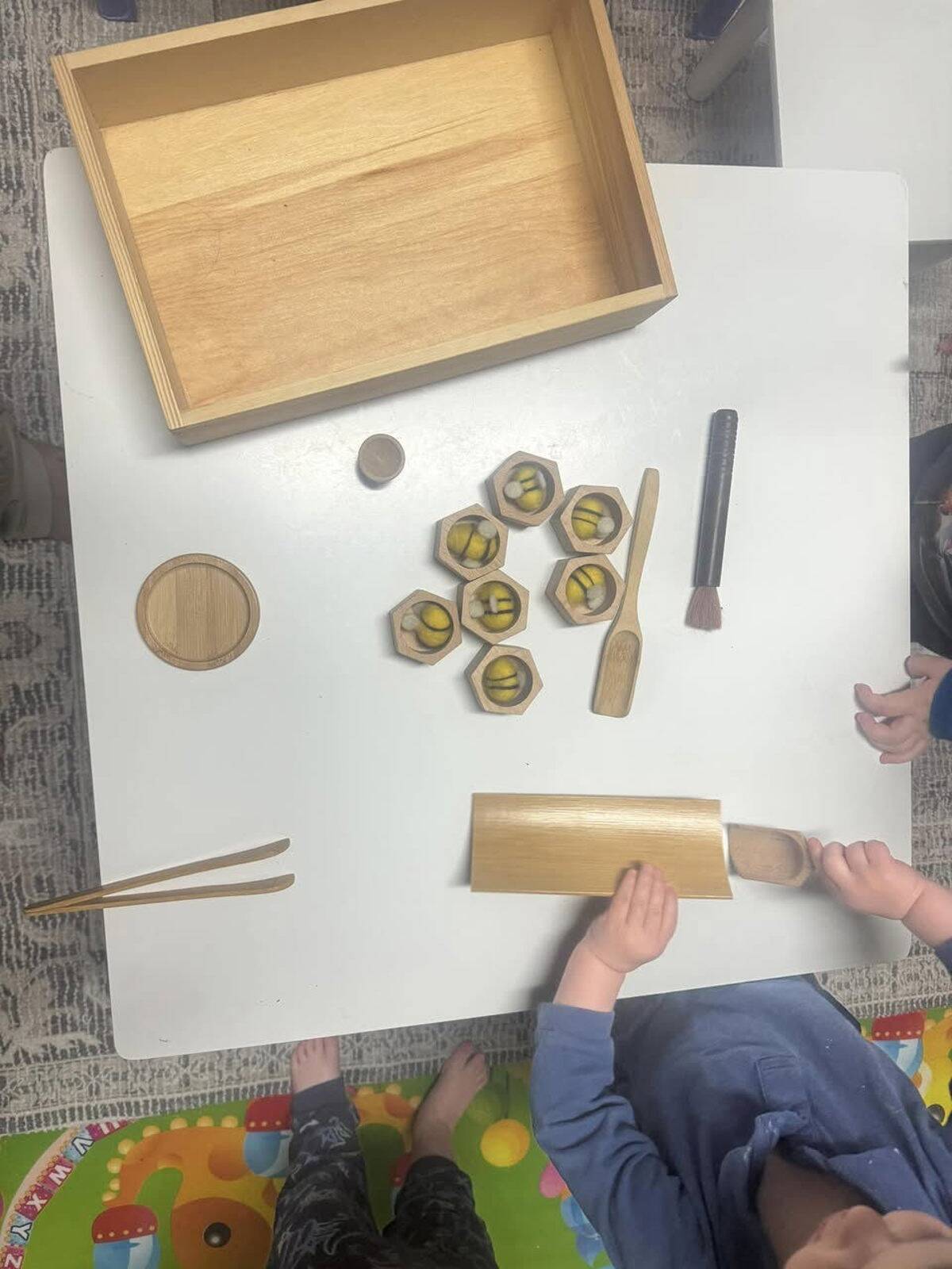 Saima's Little Star Family Day Care