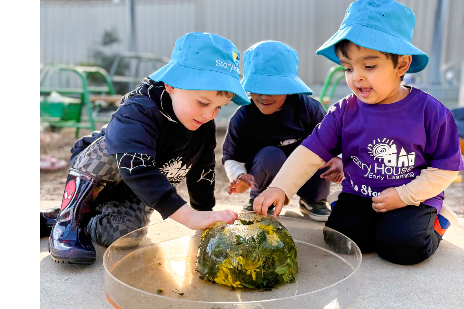 Story House Early Learning Caringbah COMING SOON