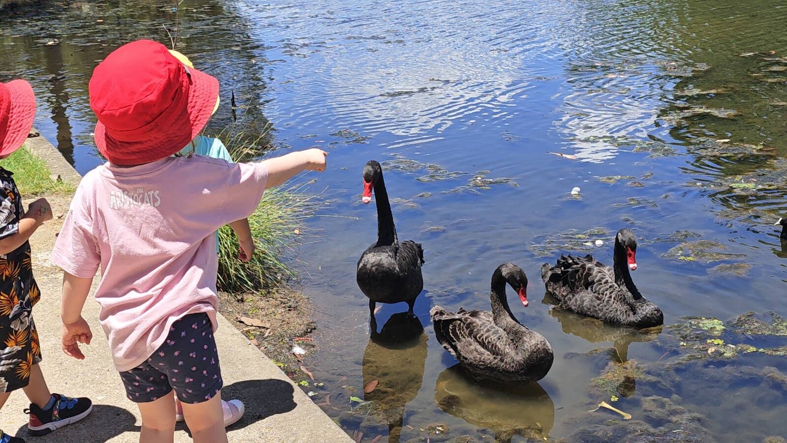 Flowertots Family Day Care