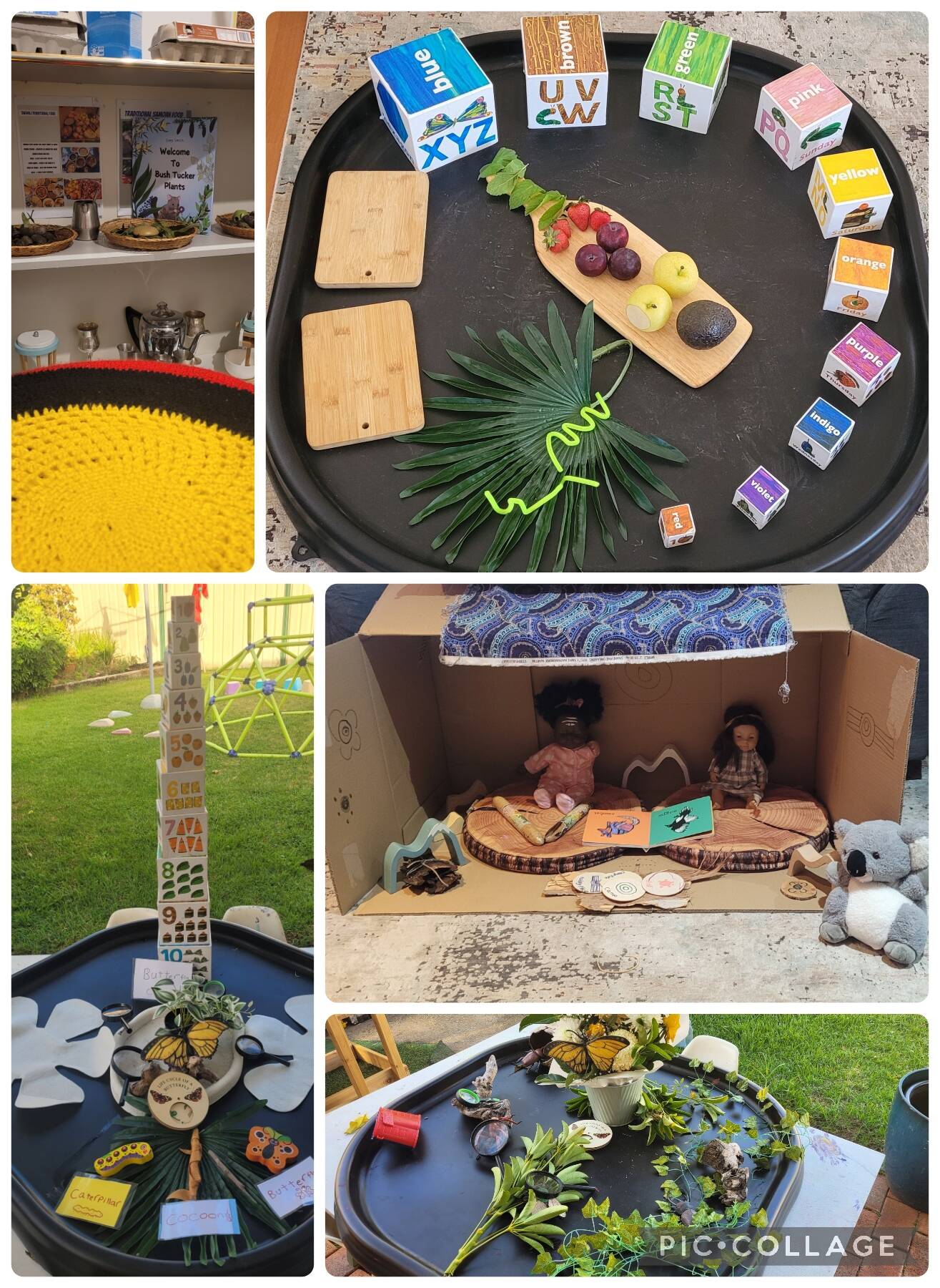 Blue Bird Family Day Care