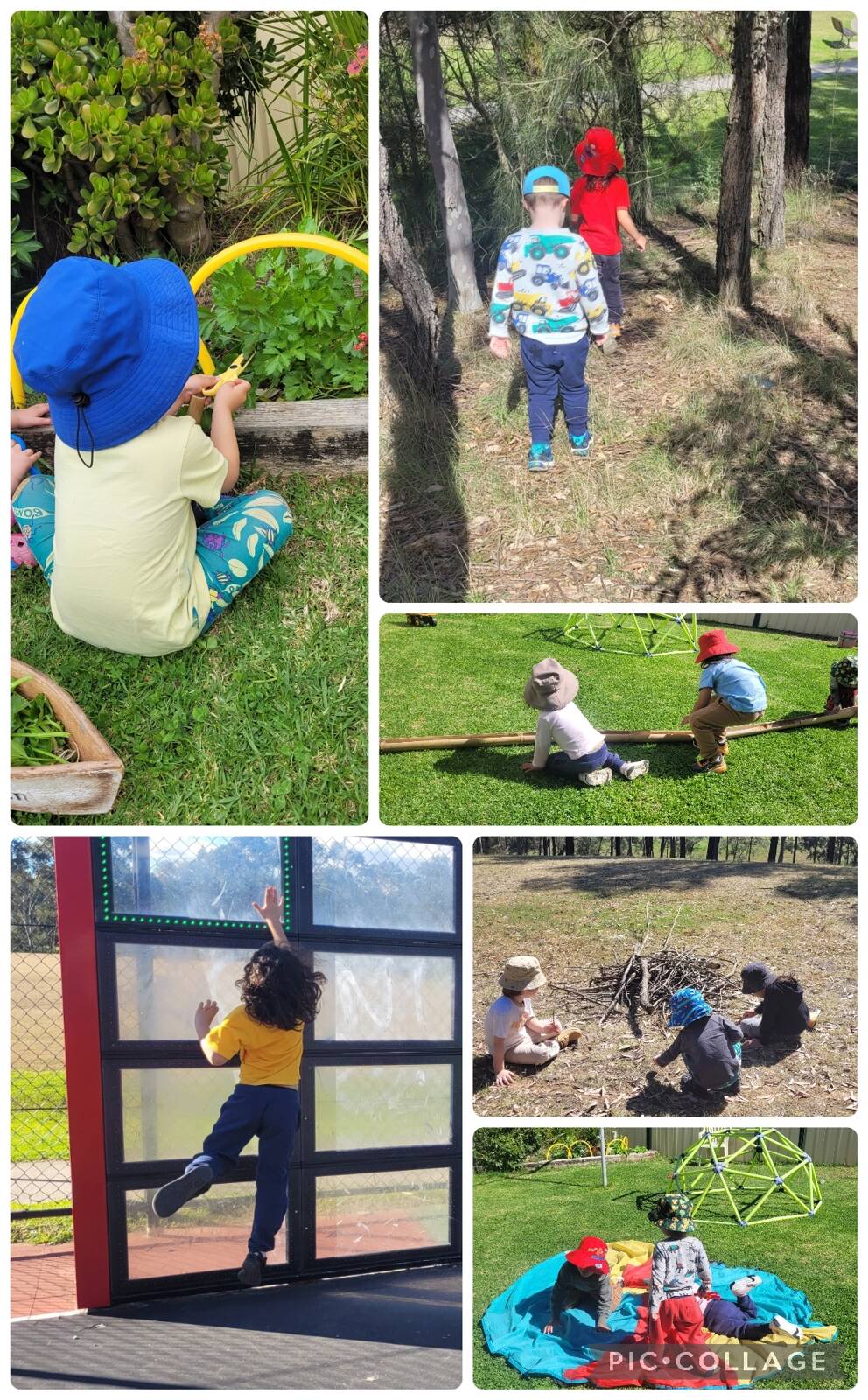 Blue Bird Family Day Care