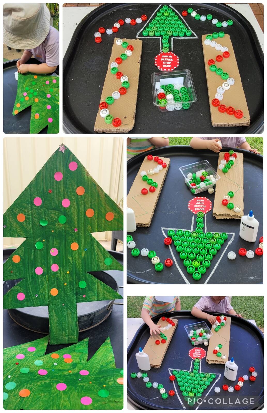 Blue Bird Family Day Care