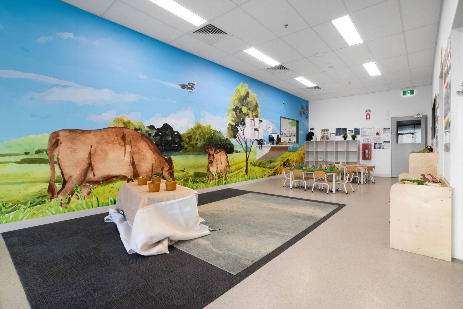 Little Zak's Academy Ropes Crossing