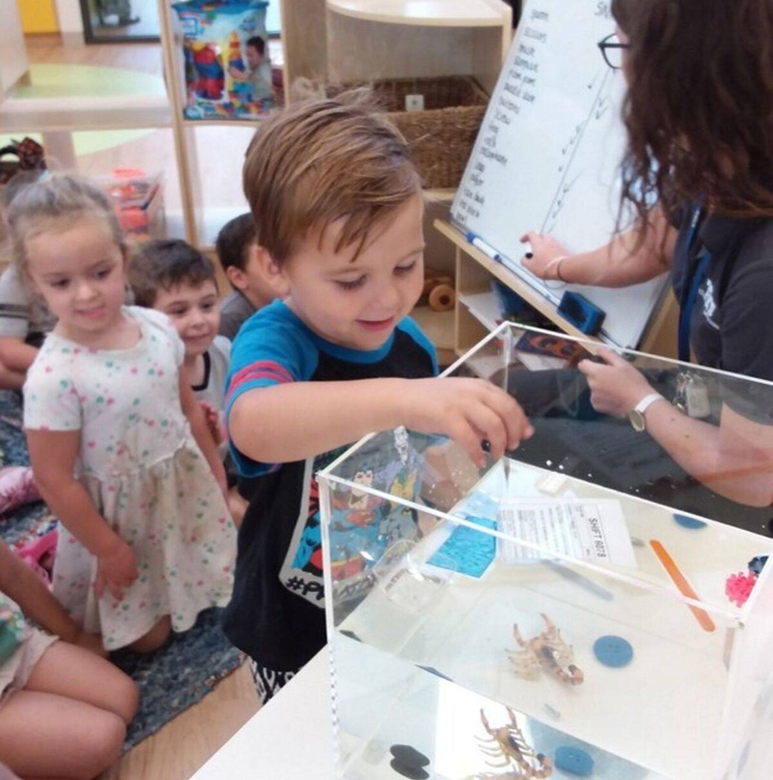 Greater Beveridge Kindergarten