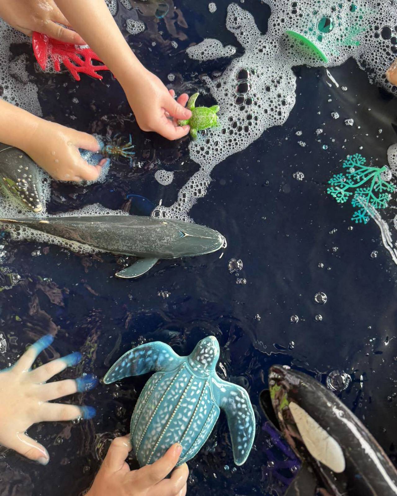 Maroubra Junction Early Education Centre