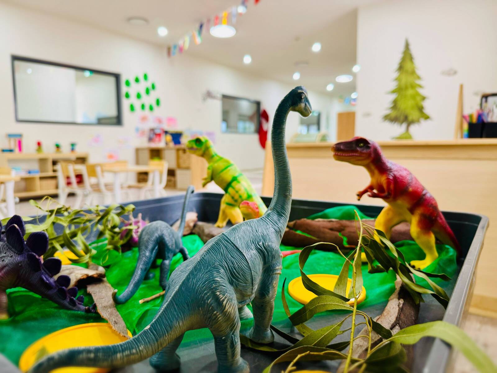 Little Jungle Early Learning Centre