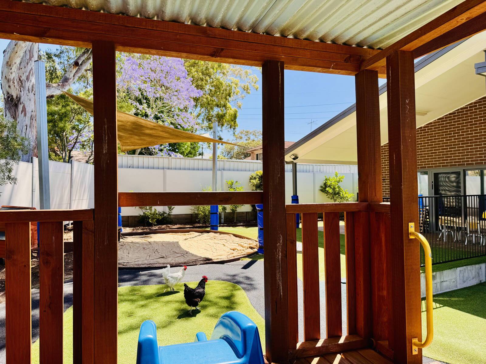 Little Jungle Early Learning Centre