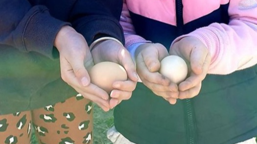 Ladybug Family Day Care