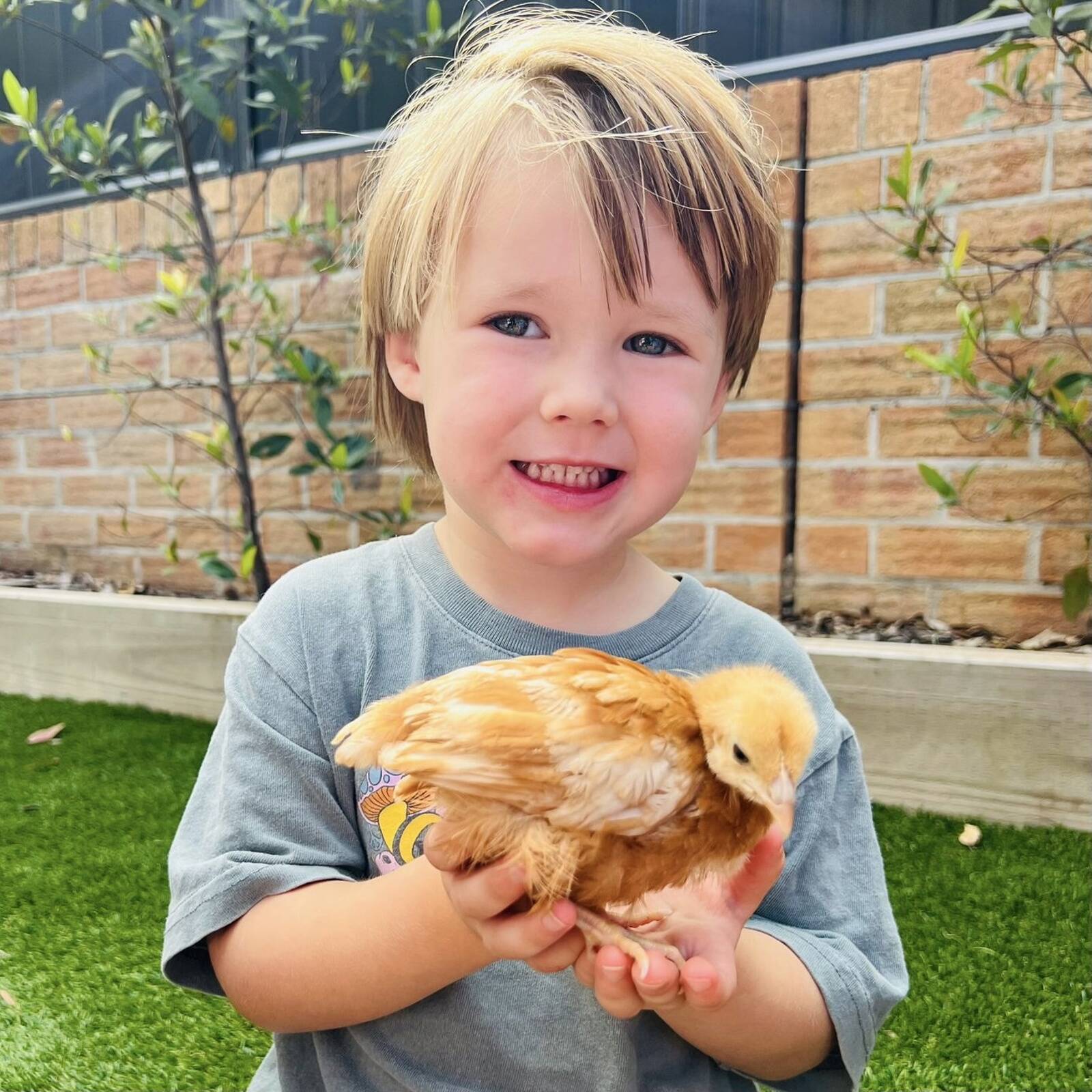 Oz Education Lake Cathie