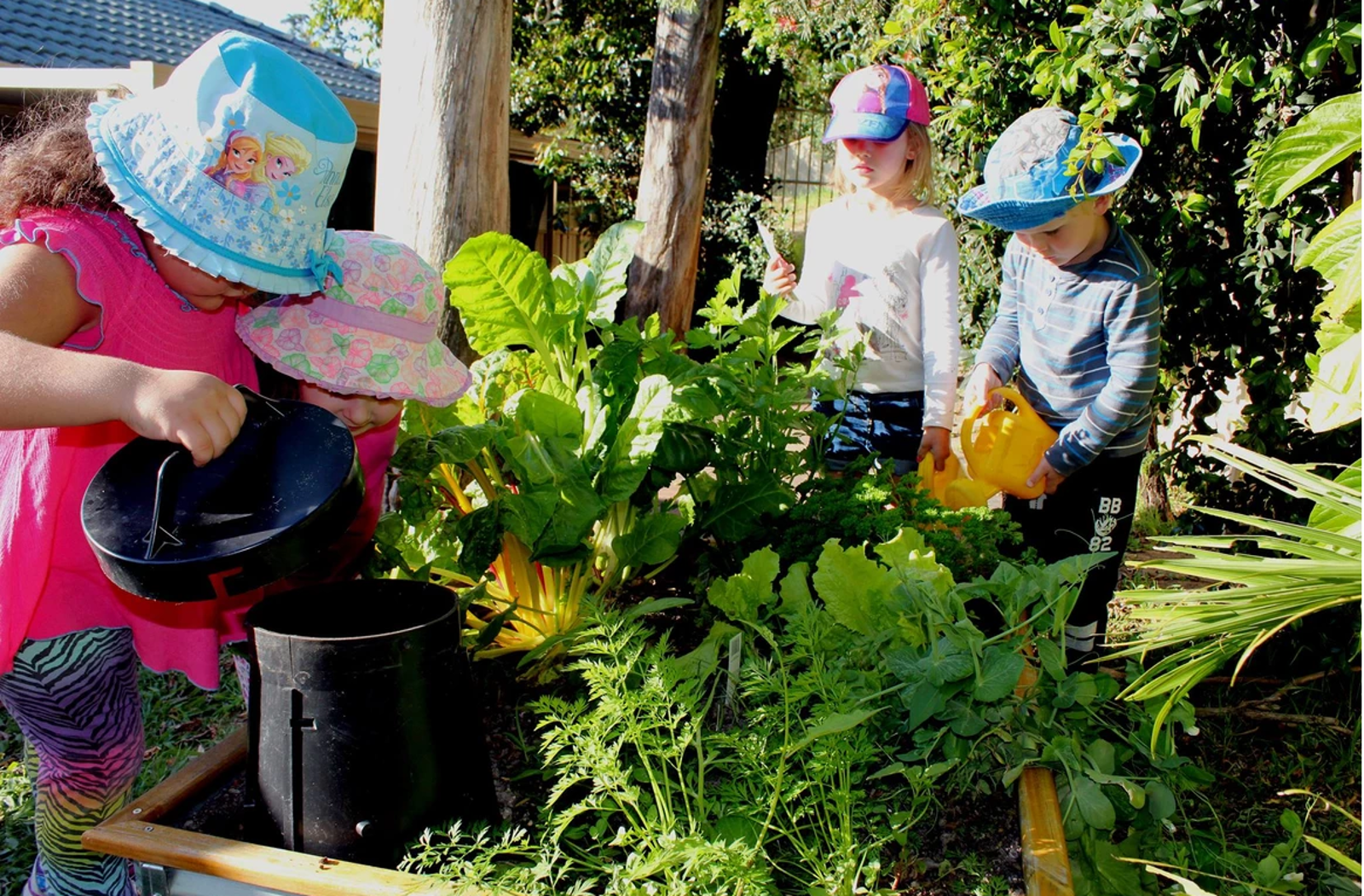 Oz Education Boambee East