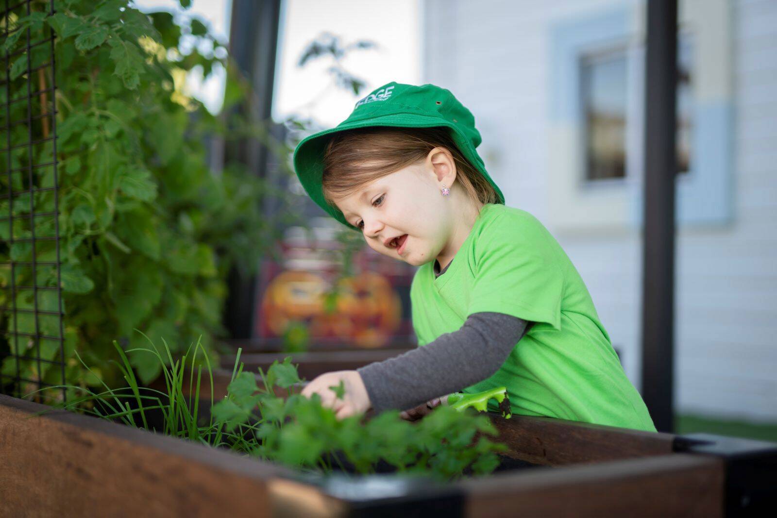Edge Early Learning Waterford West