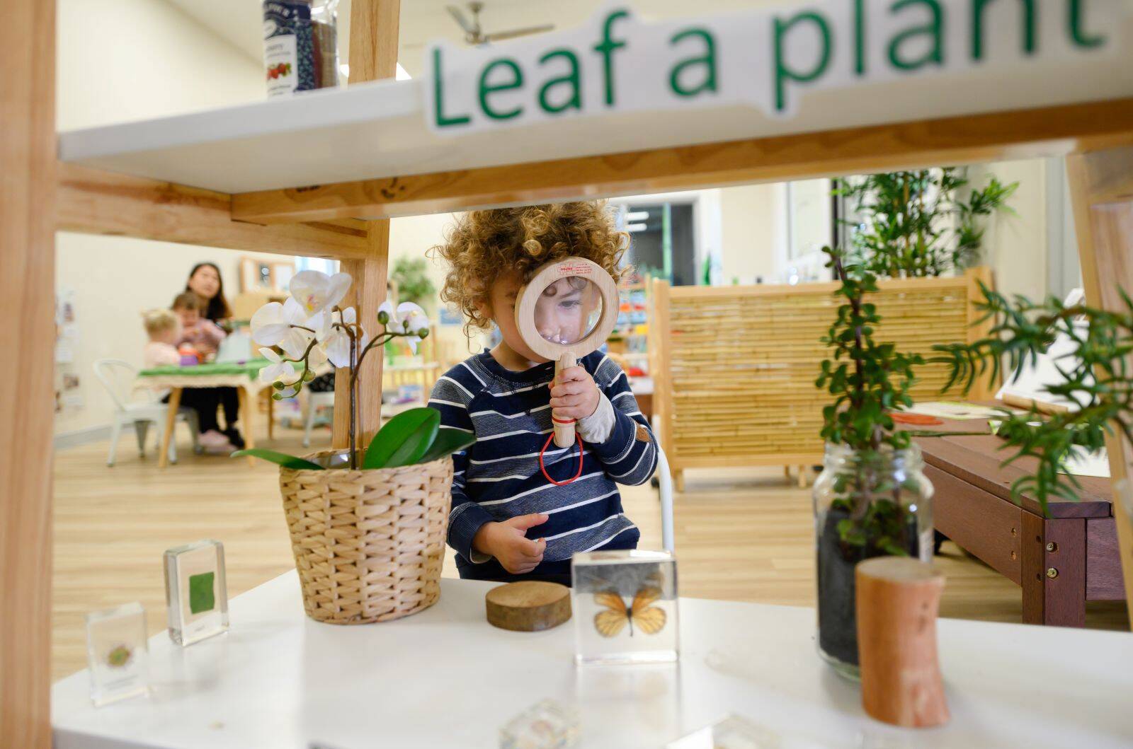 Edge Early Learning Bilinga