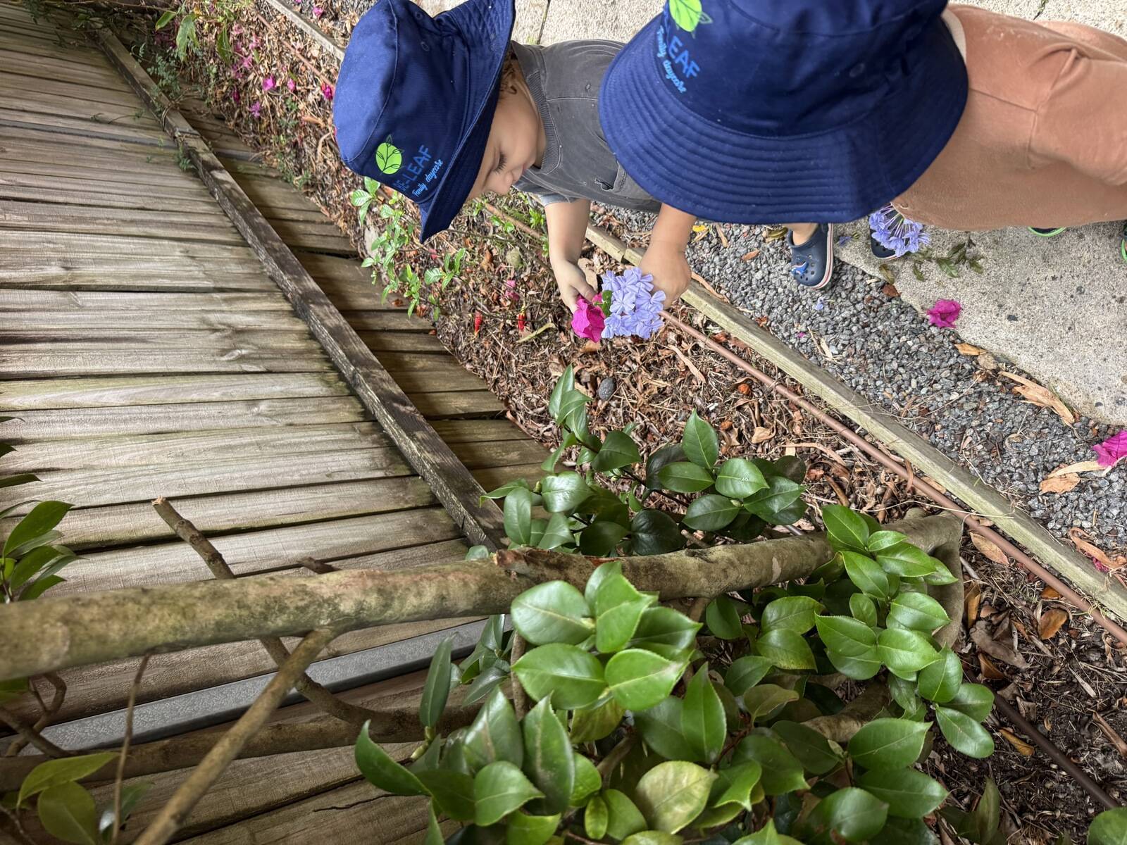 Be-Leaf Family Daycare 
