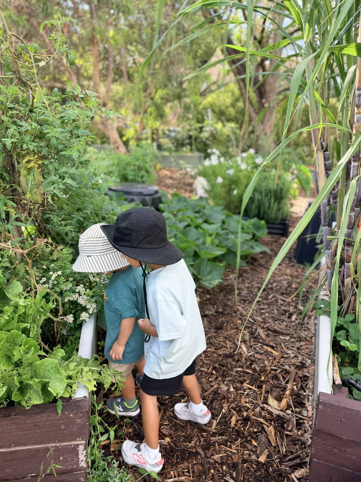 The Pre-K Project Family Daycare