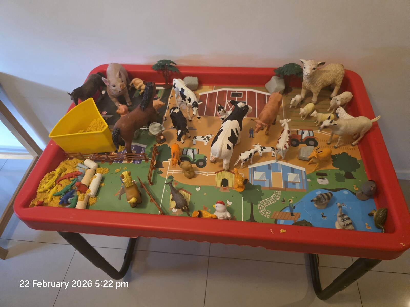 Ally's Family Day Care