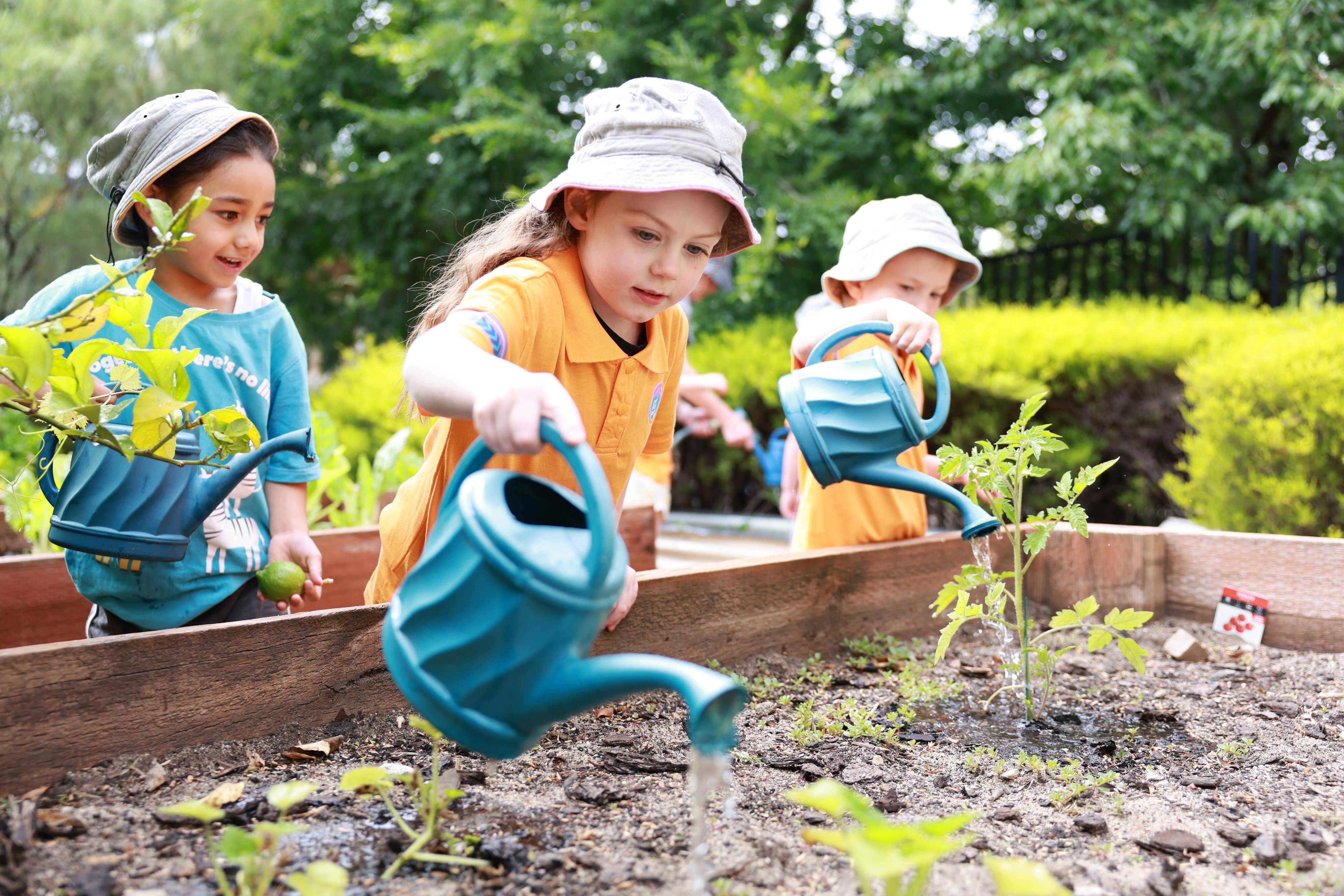 Goodstart Early Learning Wagga Wagga - Lake Albert Road